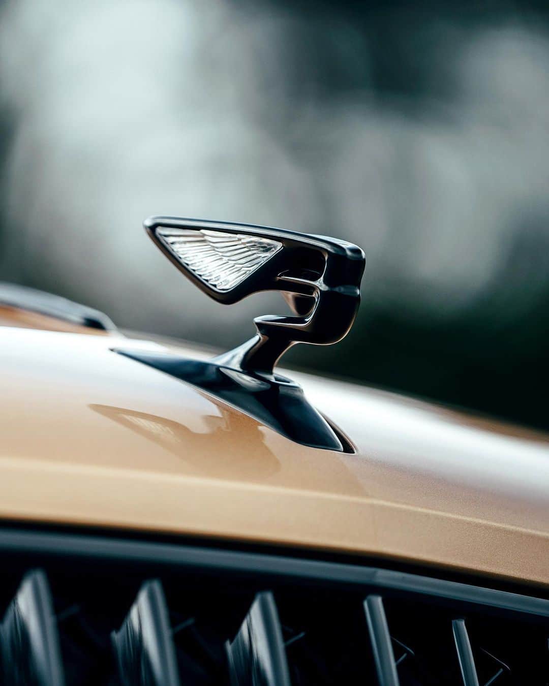 ベントレーさんのインスタグラム写真 - (ベントレーInstagram)「I will put my best self forward. The #NewFlyingSpur V8. #Resolutions _ #Bentley Flying Spur V8 WLTP drive cycle: combined fuel consumption: 22.2 mpg (12.7 l/100 km), combined CO₂: 288 g/km」12月30日 0時05分 - bentleymotors