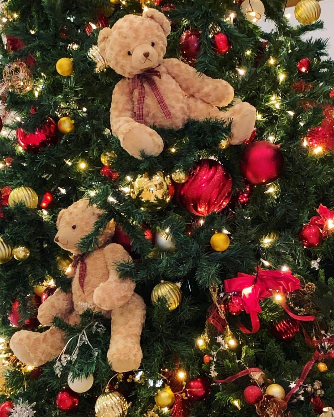 アシュリー千帆さんのインスタグラム写真 - (アシュリー千帆Instagram)「.  #christmastree 🎄✨  いろんなクリスマスツリー☺️💕  ドラヲタとしてはドラちゃんツリーには高まったけど  クリスマスといえば赤、緑、金って感じがするよね  この色合いってなんかとっても暖かい感じがする☺️🎄✨  当日までの街中のキラキラした暖かい雰囲気が好きなんだけど、 今年はあまりクリスマス感無かったなあ🎅  はやく安心してみんなが過ごせる日々が来ますように✨  . #クリスマスツリー　#ドラえもん　＃ウルフギャング　 #Christmas  #family #happy #クリスマス　#サンタクロース #instalike #instagood #日本」12月30日 0時56分 - ashli_ch