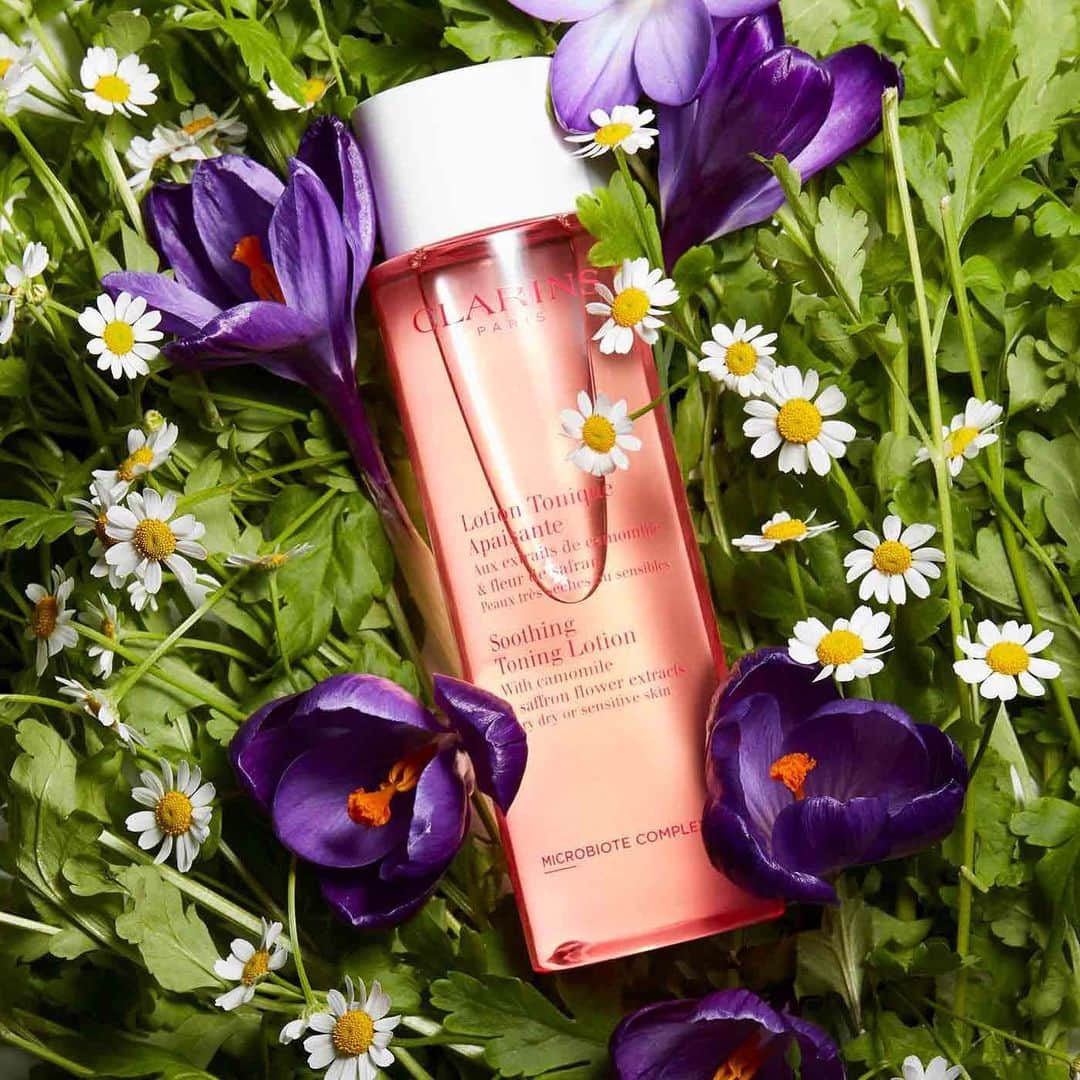 CLARINSさんのインスタグラム写真 - (CLARINSInstagram)「🌸***NEW*** Soothing Toning Lotion is plant-based, colorant- and alcohol-free face toner—with 🌷Purple Coneflower and Organic Chamomile 🌼extracts—gently tones and hydrates very dry and sensitive skin, leaving it soft, smooth, and incredibly comfortable.   And it smells incredible with fruity-floral notes of 🍋 Lemon, Cardamom, Freesia, Magnolia, 🌸Peony, 🍑Apricot, and White Musk.  Formulated with our exclusive Microbiote Complex to balance your skin's #microbiota while removing every last trace of cleanser for a clear, healthy-looking complexion.   🌸Flower polyphenols that respect, protect, and balance the skin’s natural microbiota—the normal levels of bacteria in healthy skin—for a clean, radiant, comfortable complexion.   Dermatologist-tested.  #clarinscleanse #clarins #clarinsskincare  #selfcare  #toner」12月30日 10時58分 - clarinsusa