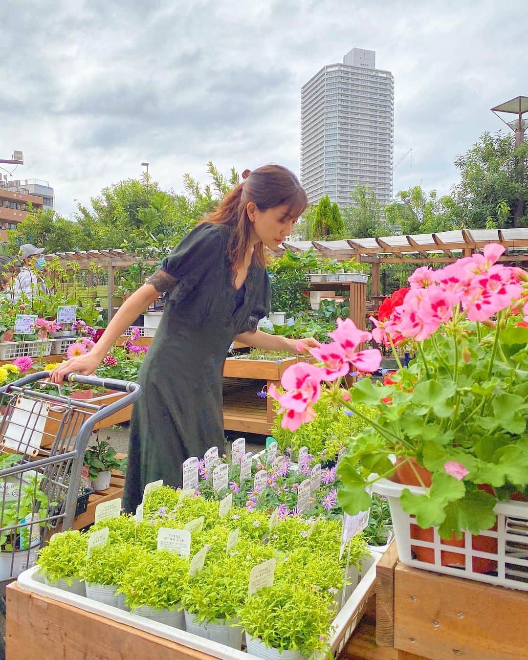 のインスタグラム：「ローズマリー🌿  イタリアンパセリー😃  バジルーーーーーっ😱❗️  少し前までは元気で 美味しいジェノベーゼを楽しみにしていたのに...突然枯れてしまった。室内に移動してみたけど、、 バジルちゃんごめんね。  今年 #stayhome で始めた家庭菜園  もっと勉強しなくては ダメですね🥲とほ  #ホームセンター好き  #家庭菜園 #家庭菜園初心者  #イタリアンパセリ #バジル　#ローズマリー　#ミント　#三つ葉　#ハーブ　#ハーブのある暮らし #自然 #土いじり #herbs #herblife #gardening  #mint #rosemarry #basil #italianpaserly #erbe」