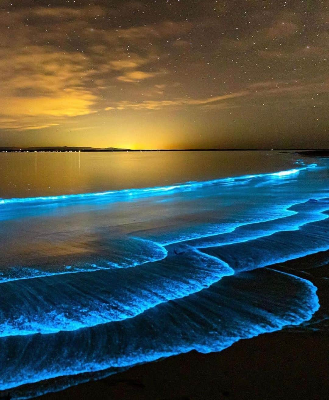 Earth Picsさんのインスタグラム写真 - (Earth PicsInstagram)「Who remembers the bioluminescent waves that happened earlier this year? Did you have a chance to see them? ✨  📷 @jordan_robins」12月30日 2時58分 - earthpix