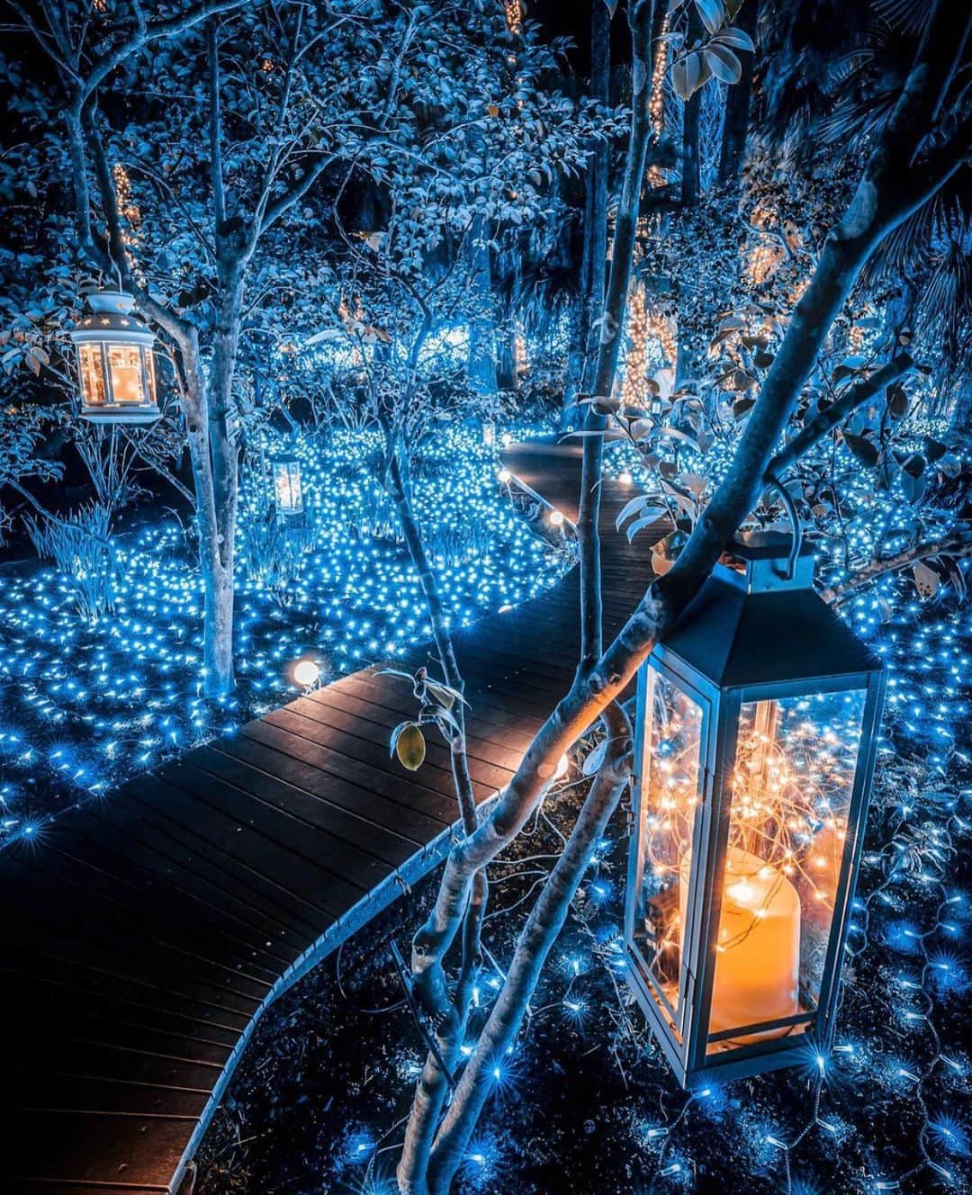 Wonderful Placesさんのインスタグラム写真 - (Wonderful PlacesInstagram)「Fairy road - Japan ✨😍😍💙💙✨ . 📷 by ✨✨@jungraphy_✨✨ #wonderful_places for a feature 💙」12月30日 3時10分 - wonderful_places