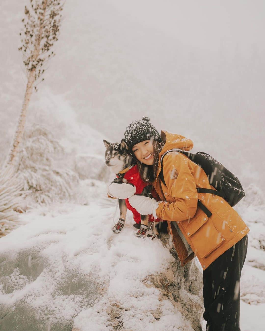 W E Y L I Eのインスタグラム：「Get a shiba they said...they are snow dogs they said...I would like a refund on my shiba that absolutely hated the snow and gave me attitude the entire trip please 😂」