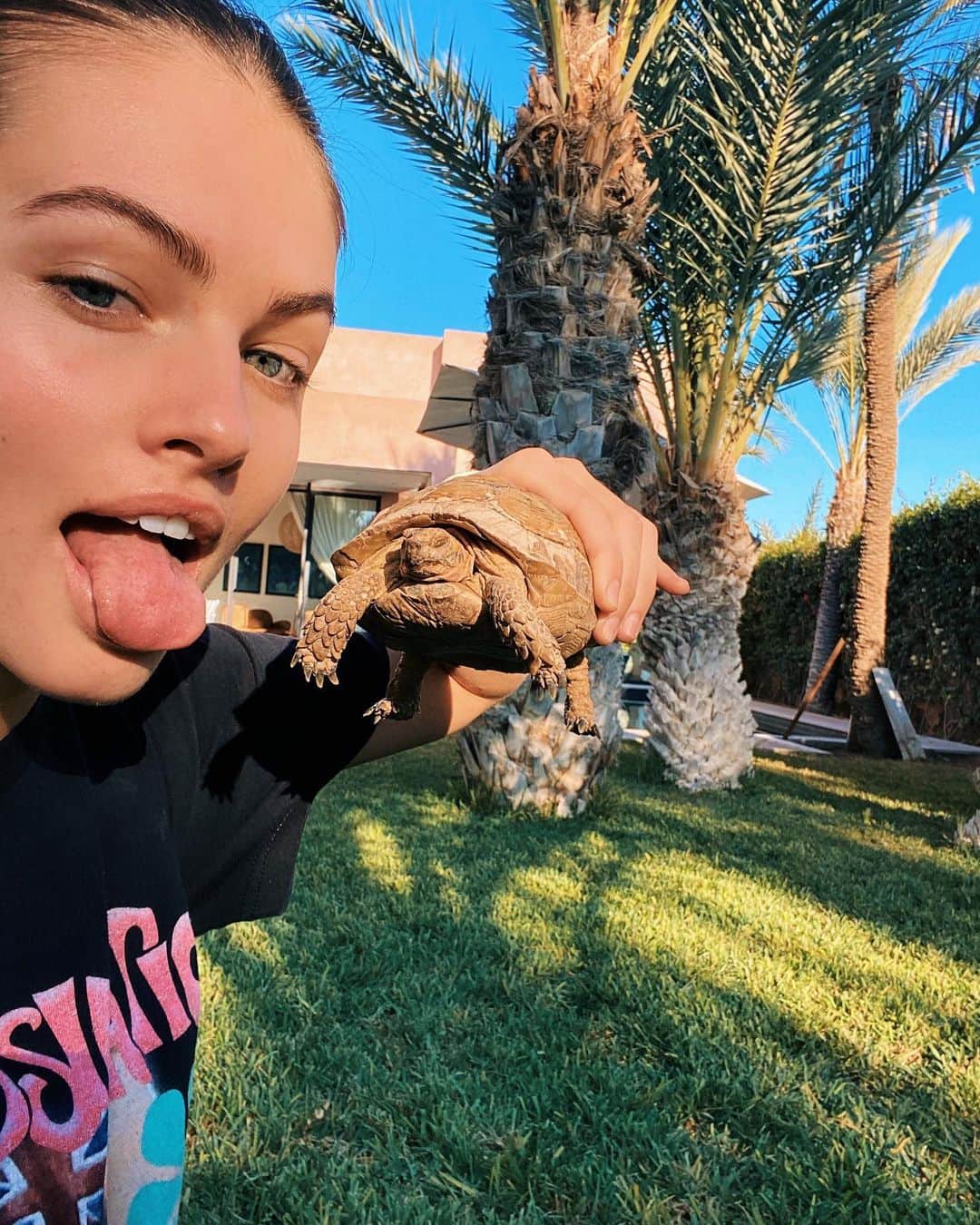 ティラーヌ・ブロンドーのインスタグラム：「🐢🌴」