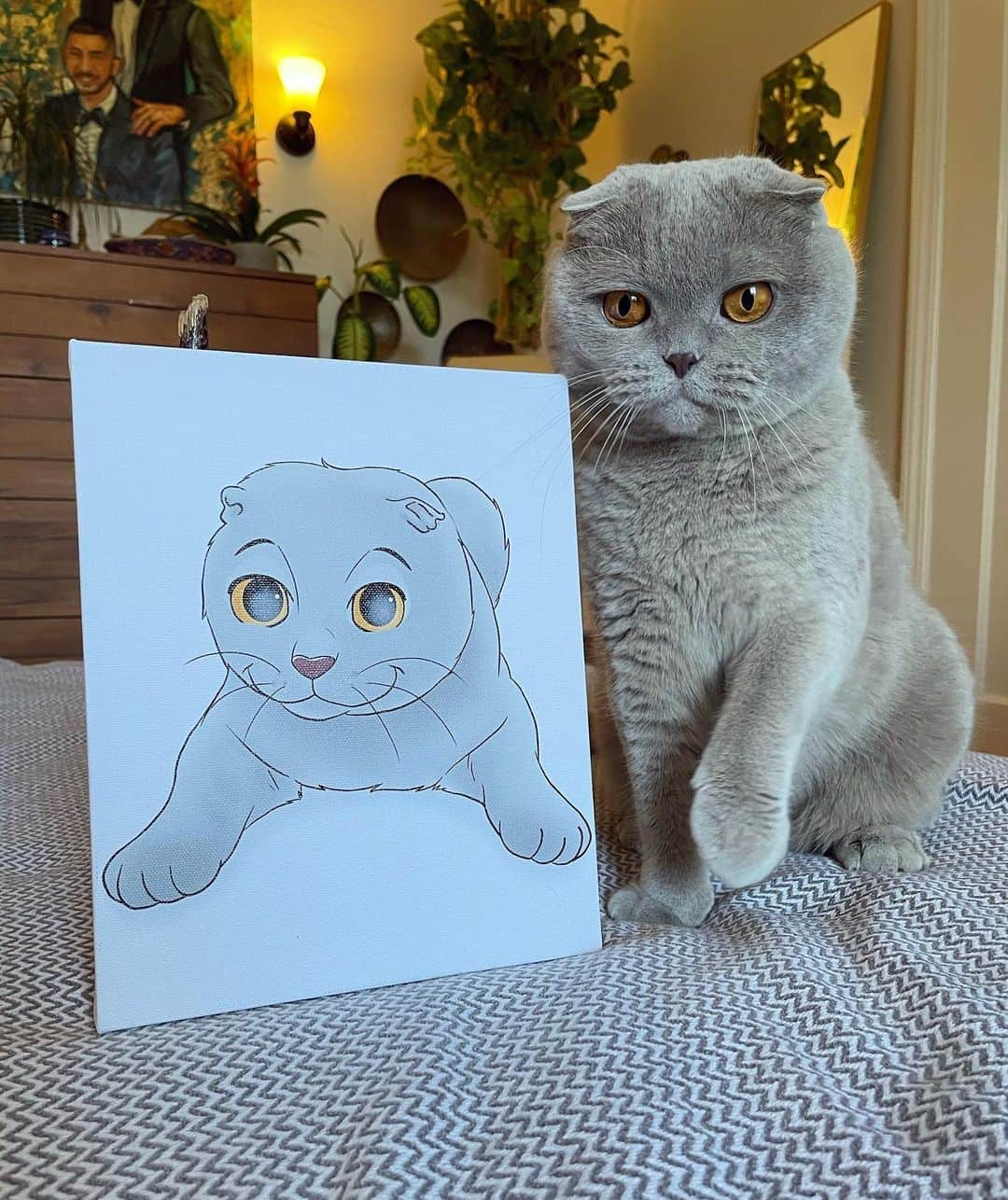 Millaのインスタグラム：「I just got @floofily ‘d and now you can too! 😻 Turn your lovable pet into the most adorable portraits you just wanna snuggle and squeeze and cuddle. Use discount CODE “MILLA15” for instant savings ✅ #MillaTheCat #floofily #petportrait」