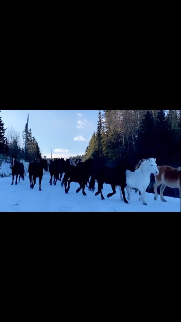 ダニエル・クヌッドソンのインスタグラム