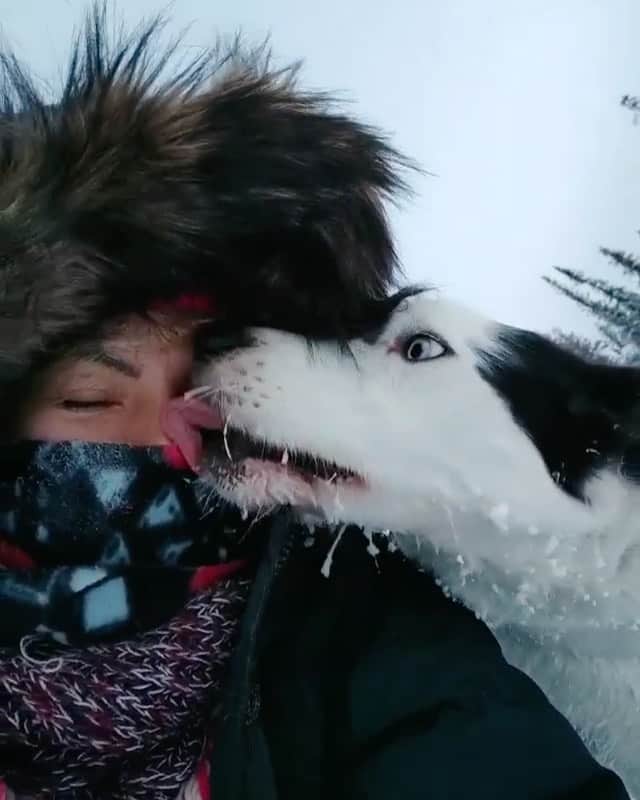 WildLifeのインスタグラム：「😍❤️ Video by @kellyfer92」