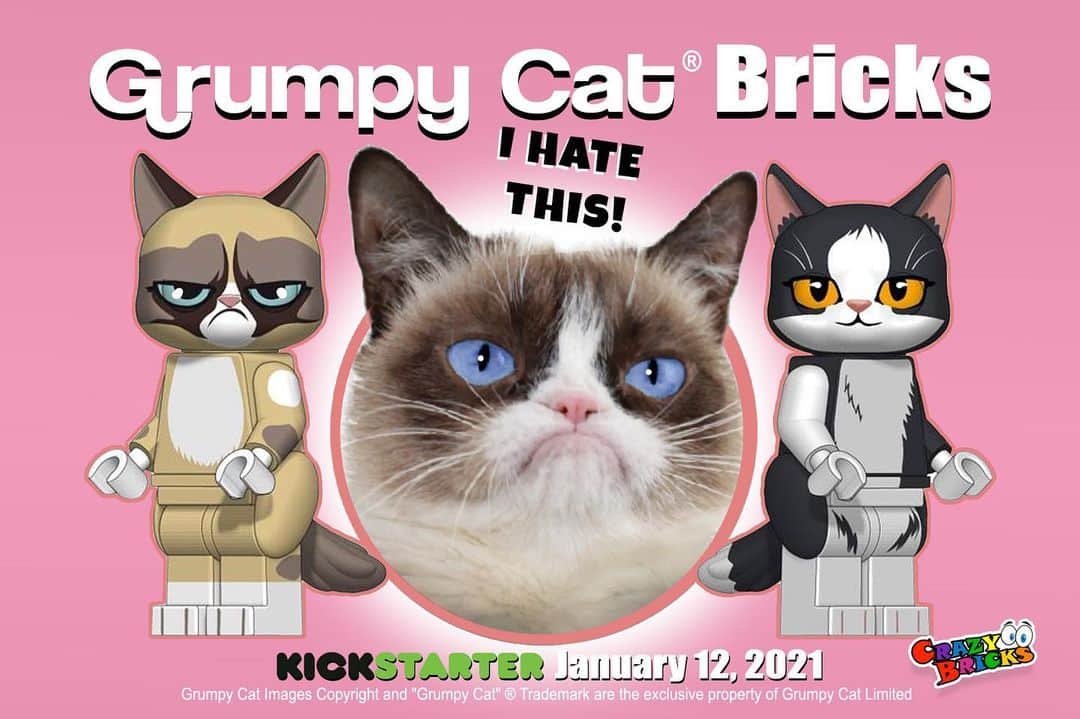 Grumpy Catのインスタグラム：「Launching January, 12th: Grumpy Cat minifigures from CrazyBricks! Day 1 supporters qualify for a Grumpy Cat themed Top Hat! Opt in for a reminder below so you don’t miss out: https://www.kickstarter.com/projects/crazybricks/grumpy-cat-bricks?ref=clipboard-prelaunch (Link in Story)」