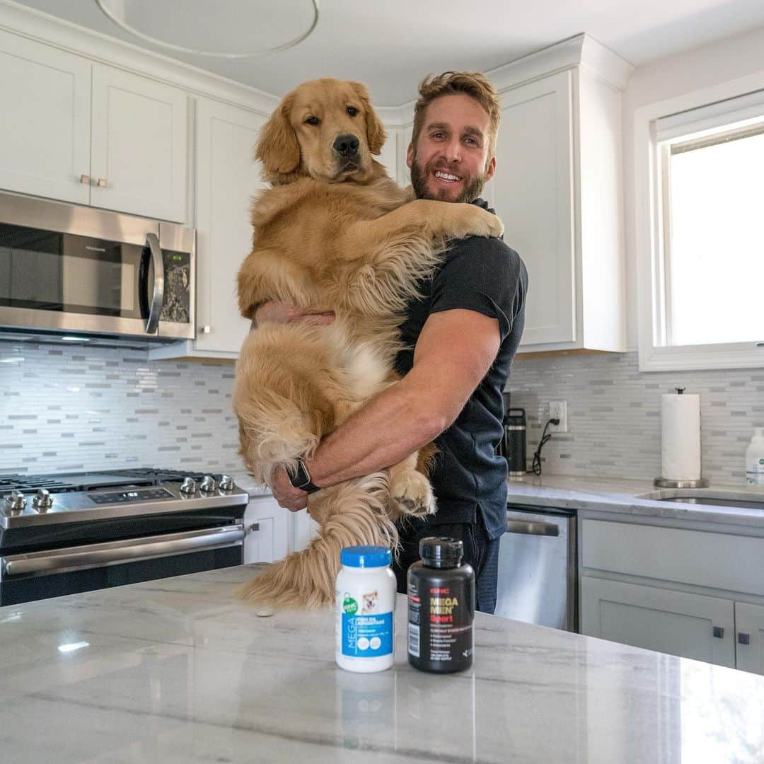 ショーン・ブースのインスタグラム：「#ad What do we think about the newest member to join me on #TeamGNC? At the rate @walterboothdog is going, not sure I’ll be able to hold him up like this much longer! . You’ve heard me talk about the importance of taking my Men’s Multivitamins every day to help keep my immune system strong (especially this time of year)! When the team over at @gnclivewell reached out to me about having @walterboothdog try out their new Mega-multivitamins for pets, it was a no brainer! As we turn the page on 2020 and start a fresh new year, remember to think about your pets supplement needs the same way you do for yourself 🙌🏼 . @gnclivewell has a variety of multivitamins to choose from based on your pets needs. I’ve been giving @walterboothdog the Fish Oil Advantage which helps keep him looking glossy and even helps manage his shedding. #TeamGNC」