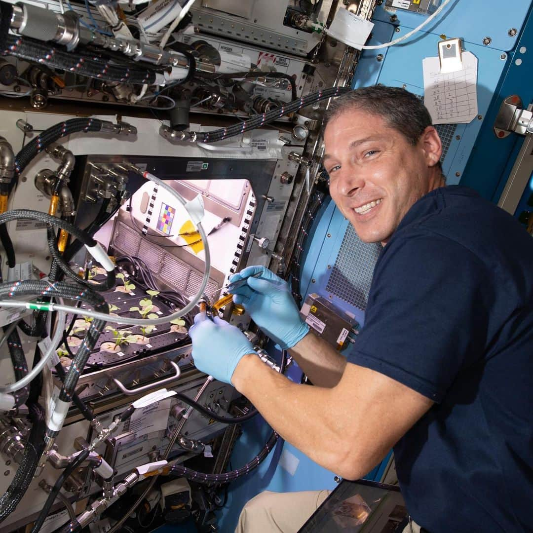 国際宇宙ステーションさんのインスタグラム写真 - (国際宇宙ステーションInstagram)「Expedition 64 Flight Engineer Michael Hopkins checks on radish plants growing for the Plant Habitat-02 experiment that seeks to optimize plant growth in the unique environment of space and evaluate nutrition and taste of the plants. #nasa #astronaut #science #botany #agriculture #radish #plants #international #space #station」12月30日 6時42分 - iss