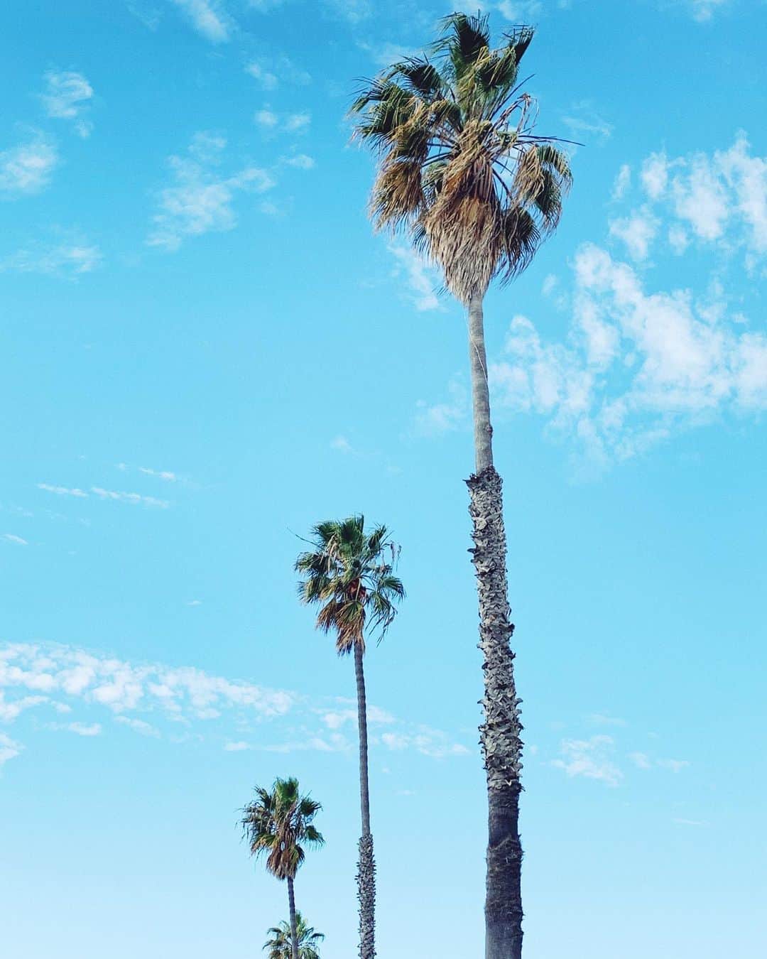 高木りなのインスタグラム：「🌴🌴🌴 昨日は一日中大雨だったロサンゼルス。 今日は青空が広がってぽかぽか天気です💙✨ 次男くんは初めて見る豪雨に興味津々。 #桃尻 #プリケツ #🍑 #羨ましい ちなみに韓国語で桃尻は、アップルヒップ🍎だよ☝🏻  어제는 하루종일 큰 비가 내린 로스앤젤레스.  오늘은 하늘이 맑아져서 따뜻한 날씨입니다 ✨ 둘째는 처음 보는 폭우가 흥미진진한가보네요. #애플힙 #🍎 #부럽다   . . . #losangeles #california #rain #palmtrees #baby #babybottom #赤ちゃん #男の子ママ #ロサンゼルス #아가 #엘에이 #아들맘 #일상」