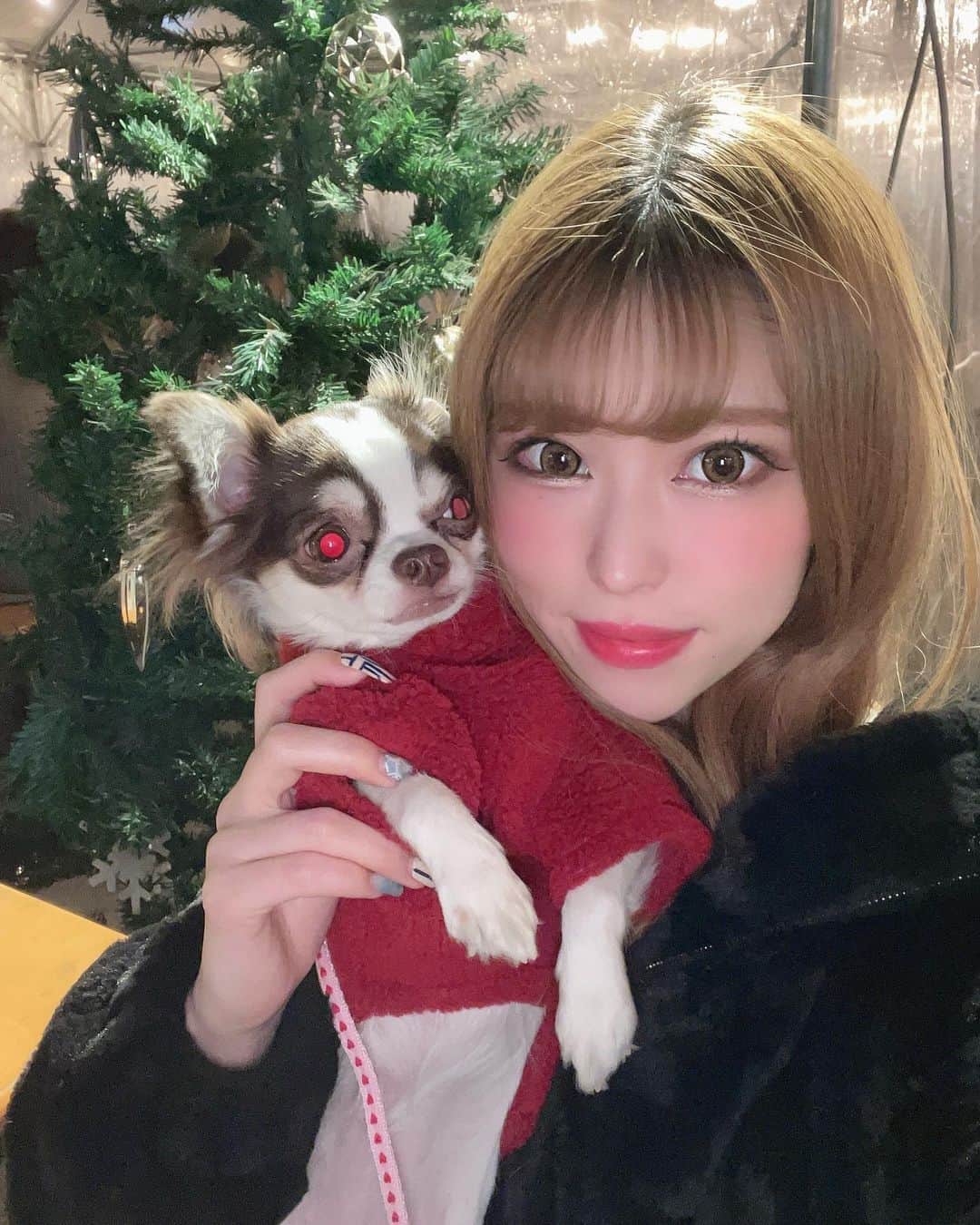 チハルのインスタグラム：「💋 クリスマスの写真全然あげれてなかったから年内にあげていきます！🤣笑 . . . #partyon #partyontokyo #パーティオン #パリオン #burlesque  #burlesquetokyo #バーレスク東京 #boxdisco  #music #dance #六本木 #showgirl #gogodancer #nightclub #クリスマス #2020」