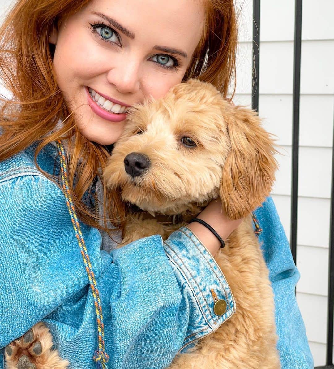 ティファニー・アルボードのインスタグラム：「💕 All we need is a little love 🐶 Don’t be deceived by this picture; I’m still a cat person at heart 🤪 ..BUT if I ever had a dog I’d want a cutie like this 🙈😍  - #QOTD: what’s your fav breed of cat or dog? I love ragdoll cats or Scottish fold munchkin cats. 🥰」