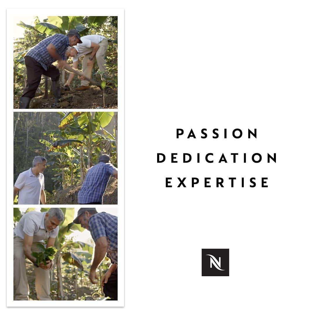 Nespressoさんのインスタグラム写真 - (NespressoInstagram)「Cultivating and crafting some of the rarest coffee in the world is a craft few can master. Dedication, expertise, passion... These are just some of the traits that transform what they do into an artform to be celebrated.  #Witheverycup #Nespresso」1月13日 21時02分 - nespresso