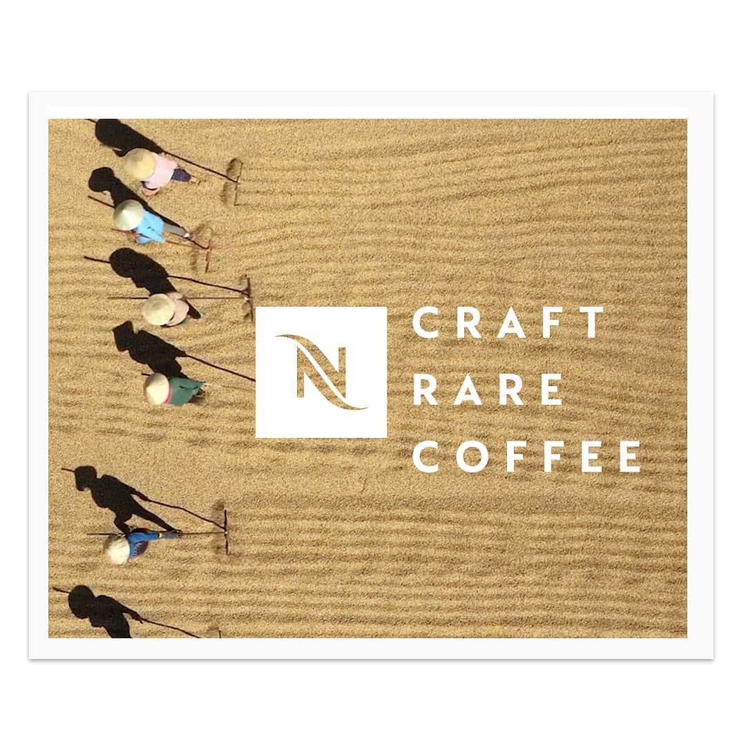 Nespressoさんのインスタグラム写真 - (NespressoInstagram)「Cultivating and crafting some of the rarest coffee in the world is a craft few can master. Dedication, expertise, passion... These are just some of the traits that transform what they do into an artform to be celebrated.  #Witheverycup #Nespresso」1月13日 21時02分 - nespresso
