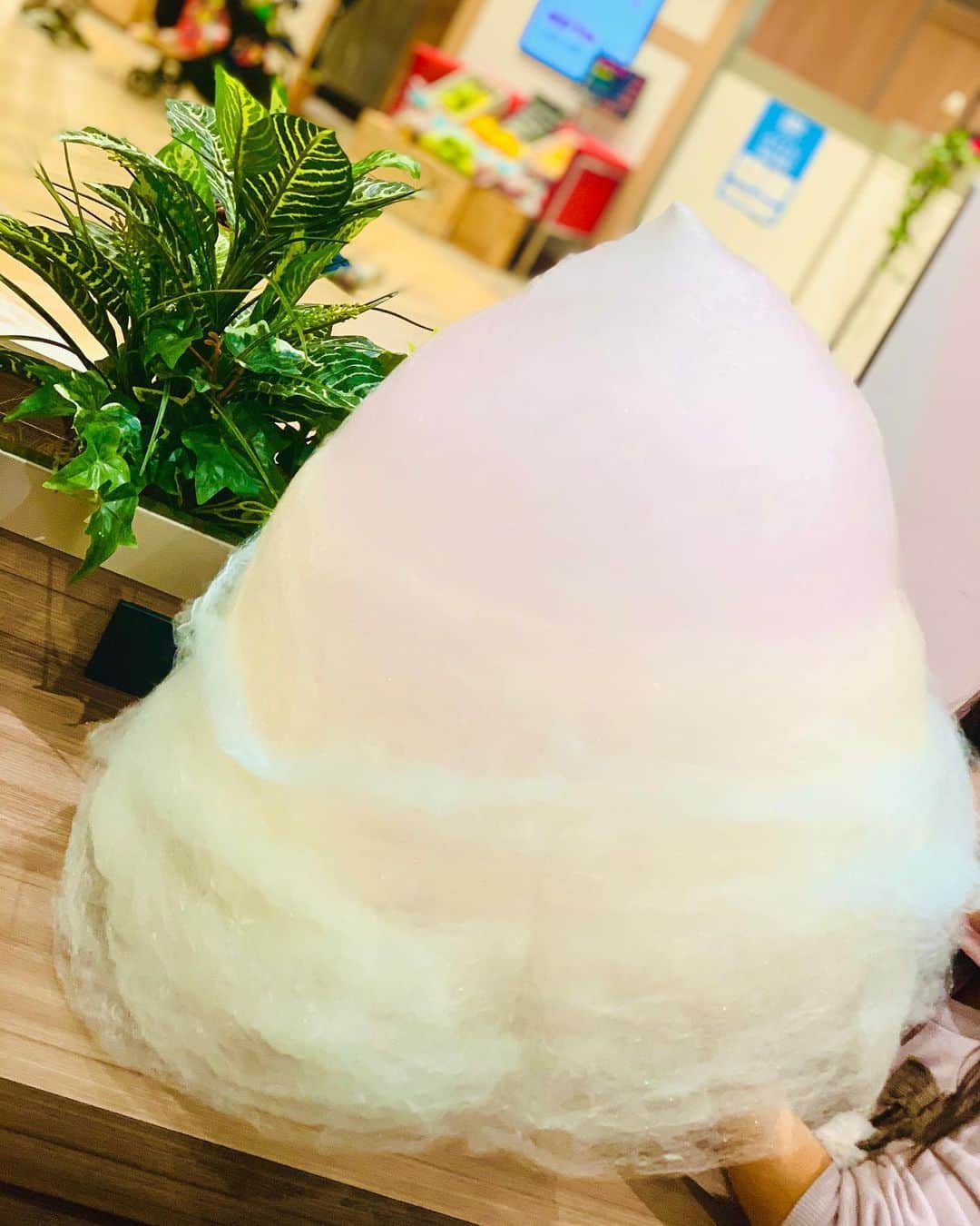 のインスタグラム：「ららぽーと東郷の2階フードコート内にあるAWESOME SWEETSさん🙌🏻✨  顔より大きい綿菓子だよ🤭✨  大きさの比較は2枚目のおチビな相方より❤︎  並んでるサンプルを見て大きいだろうなぁ〜とは思っていたけど、実際目の前にすると笑えるくらいの大きさ😂  フードコート内にいるお客さんの視線は集められるよ🤭✨笑  サンプルより彩り鮮やかな感じではなくちょっと残念🤭  量も多すぎて最後ファンタに溶かして飲んでたよ😂  見た目楽しむなら最高👍🏻✨ 食べるならタピオカ×綿菓子、アイス×綿菓子のほうがオススメ❤︎  #名古屋カフェ #名古屋カフェ部 #あまなび #名古屋インスタ交流会 #インスタグルメアワード2021 #genic_sweets #インスタグルメショー #グルメディア #trevary #nagoya_style #ららぽーと愛知東郷 #綿菓子」