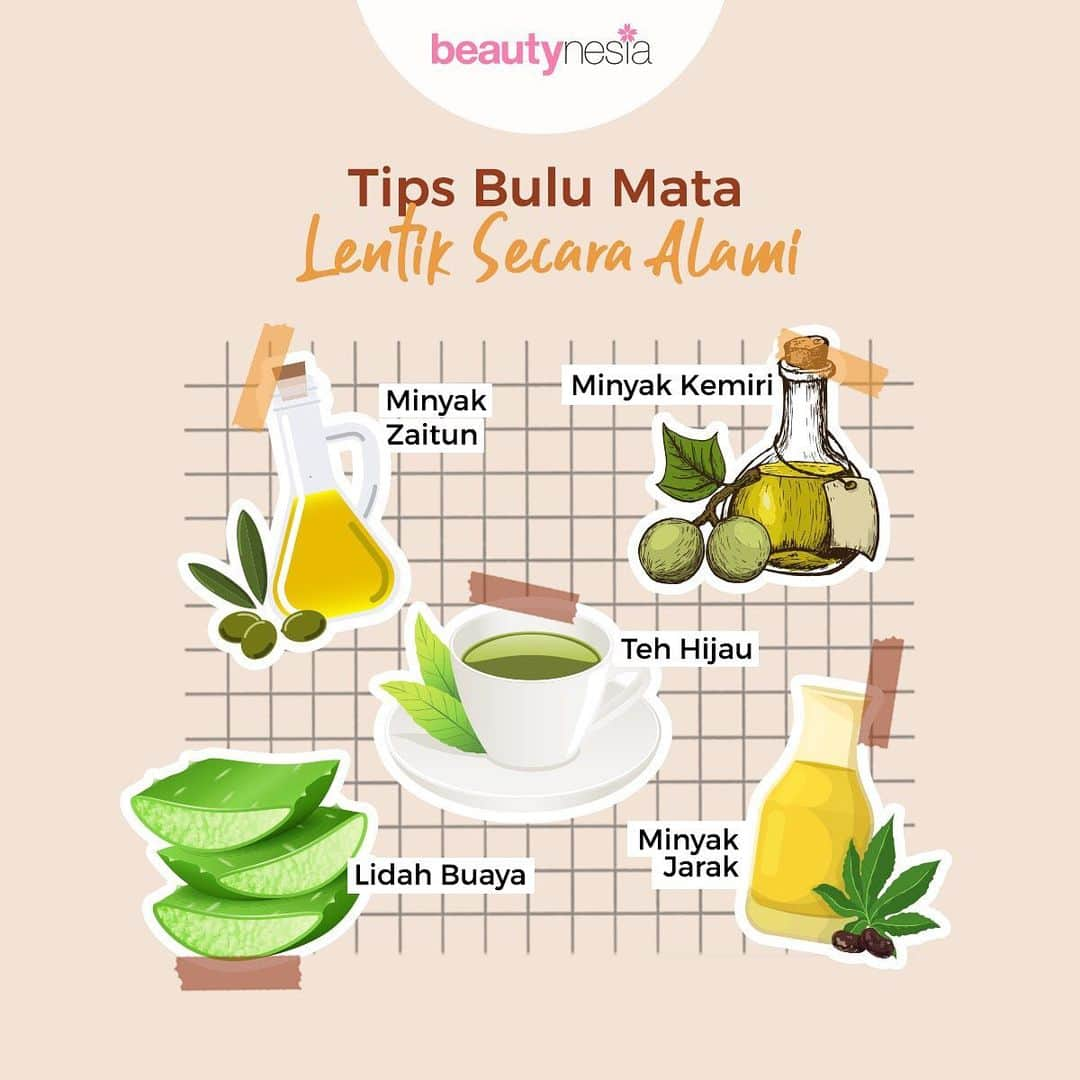 Beauty | Health | Fashionさんのインスタグラム写真 - (Beauty | Health | FashionInstagram)「Mata merupakan bagian wajah yang bisa jadi daya tarik lho.  Apalagi kalau punya bulu mata yang lentik, wah akan menambah tampilan mata jadi lebih hidup. Gak harus mahal, ternyata ada bahan alami yang bisa kamu gunakan secara rutin untuk menebalkan bulu mata. Caranya gampang, hanya perlu mengoleskannya ke bagian bulu mata menggunakan tangan atau cotton bud.⁣⁣ ⁣⁣ Tertarik mencoba ? hihihi⁣⁣ ⁣⁣ Yang udah pernah cobain, share yuk di kolom komentar 😉⁣⁣ ⁣⁣ --⁣ ⁣ #BeautynesiaID #Beautynesia #BuluMata #BuluMataLentik #BahanAlami #TipsBuluMata #Eyelash #EyeLook #BuluMataNatural #NaturalEyelash #TipsKecantikan #TipsCantik #CantikAlami #CantikNatural」1月13日 21時14分 - beautynesia.id