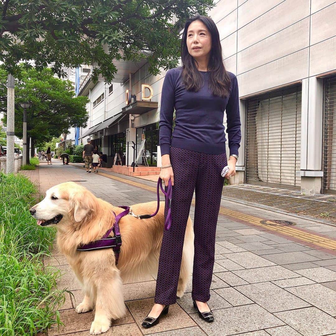高橋ひとみさんのインスタグラム写真 - (高橋ひとみInstagram)「以前、お台場にモモエと食事に行った帰りに、偶然、日本テレビ 『笑ってコラえて！』の犬を連れている人にインタビューする企画に遭遇🎤 今晩、放送でした😅 #笑ってコラえて #日本テレビ」1月13日 21時26分 - hitomi_momoe