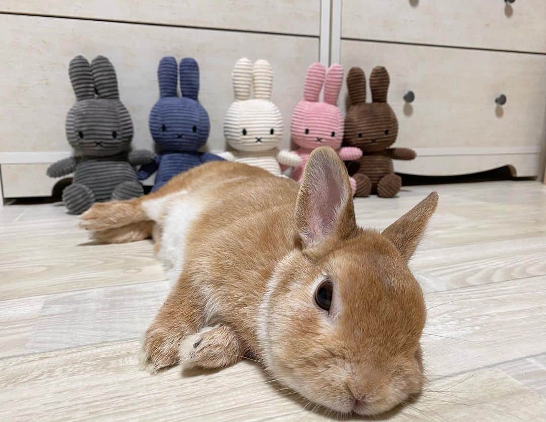 ラン?のインスタグラム
