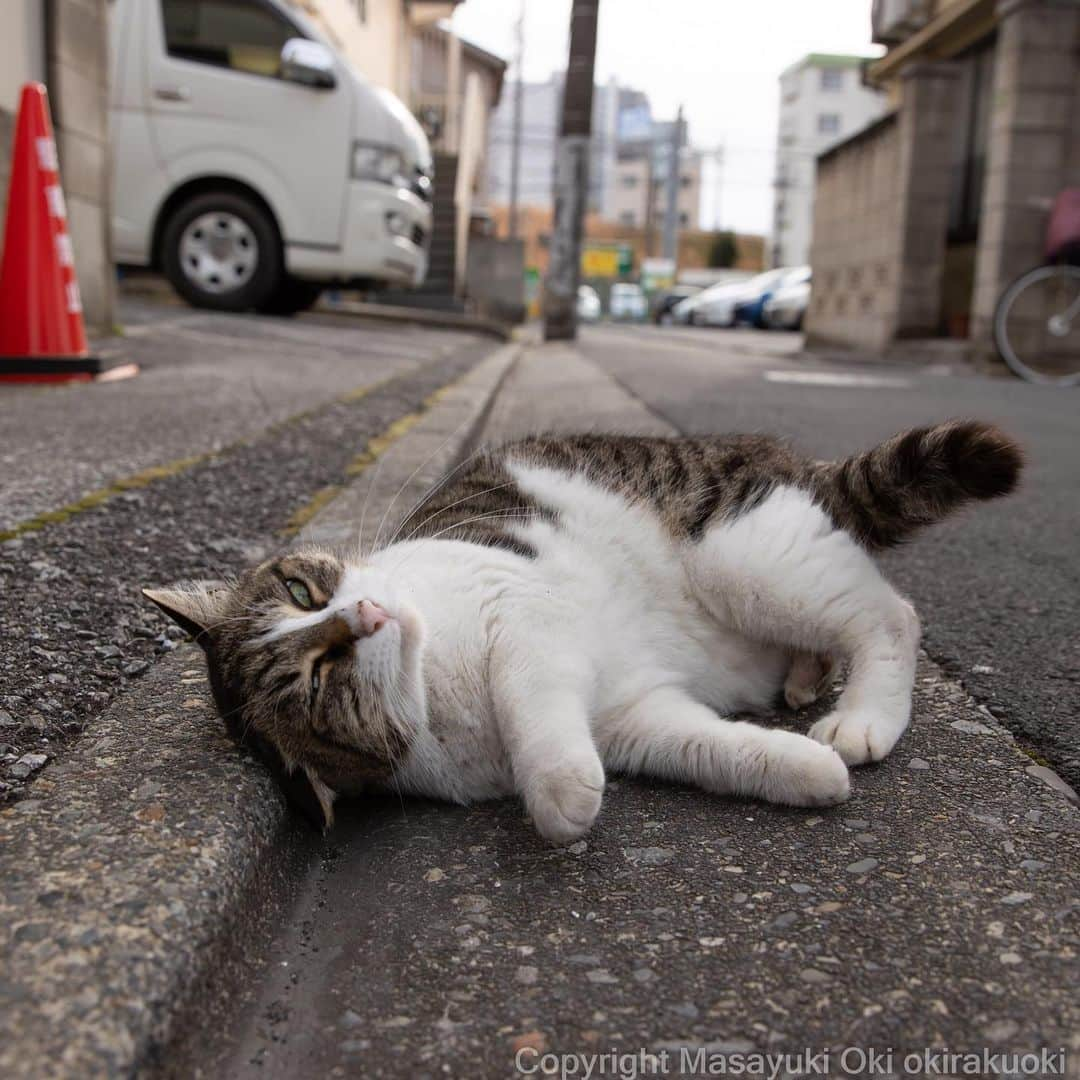 Masayukiさんのインスタグラム写真 - (MasayukiInstagram)「誘い。」1月13日 21時18分 - okirakuoki