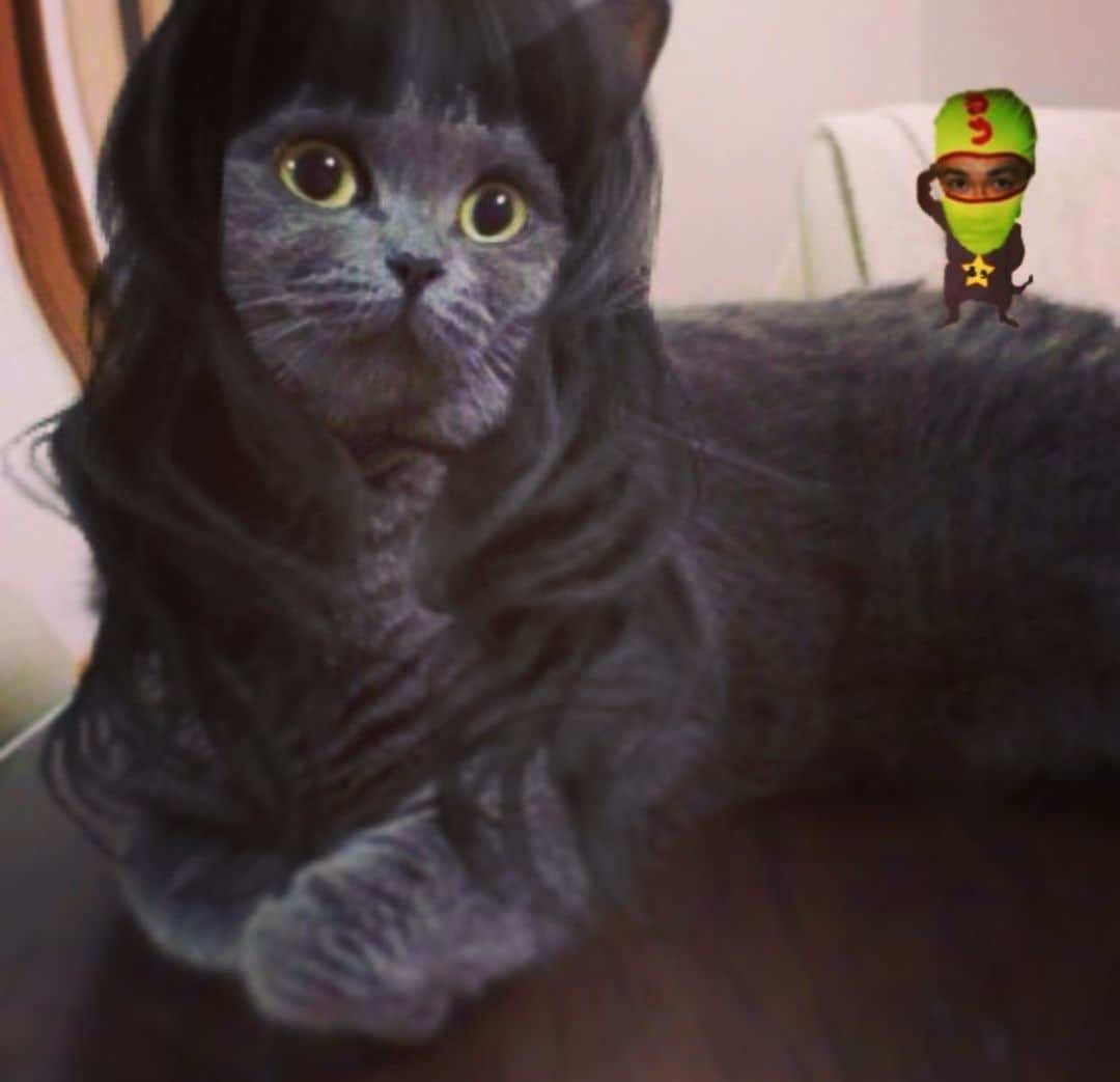 チキン南蛮カレーのルウ王子のグルメインスタ