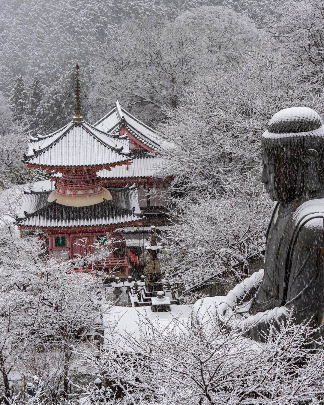 Koichiのインスタグラム：「It's snowing quietly ❄️  しんしんと降り積もる雪の中。 真っ白な世界でひとり シャッターを切っていると 微かに祈りの聲が聴こえてきました。  #コロナ退散 #コロナに負けるな #厄病退散 #悪疫退散  #BeautifulJapan #Hellofrom #Nara #壺阪寺 #奈良  .」