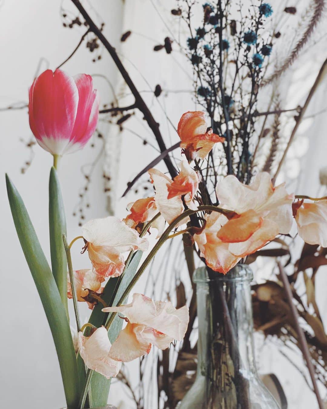 久林紘子さんのインスタグラム写真 - (久林紘子Instagram)「Input place✔︎  まだまだ施工があるので、ネイルをチェンジ💅 今回はわずかにベージュを混ぜてもらったナチュラルフレンチ🤍そして、施工にも耐えられるハードコーティング🤖 by @eow_ann.okki   センス良く飾られたお店のお花たち。 心身ともに整えられる場所🙏」1月13日 21時51分 - rohicocco