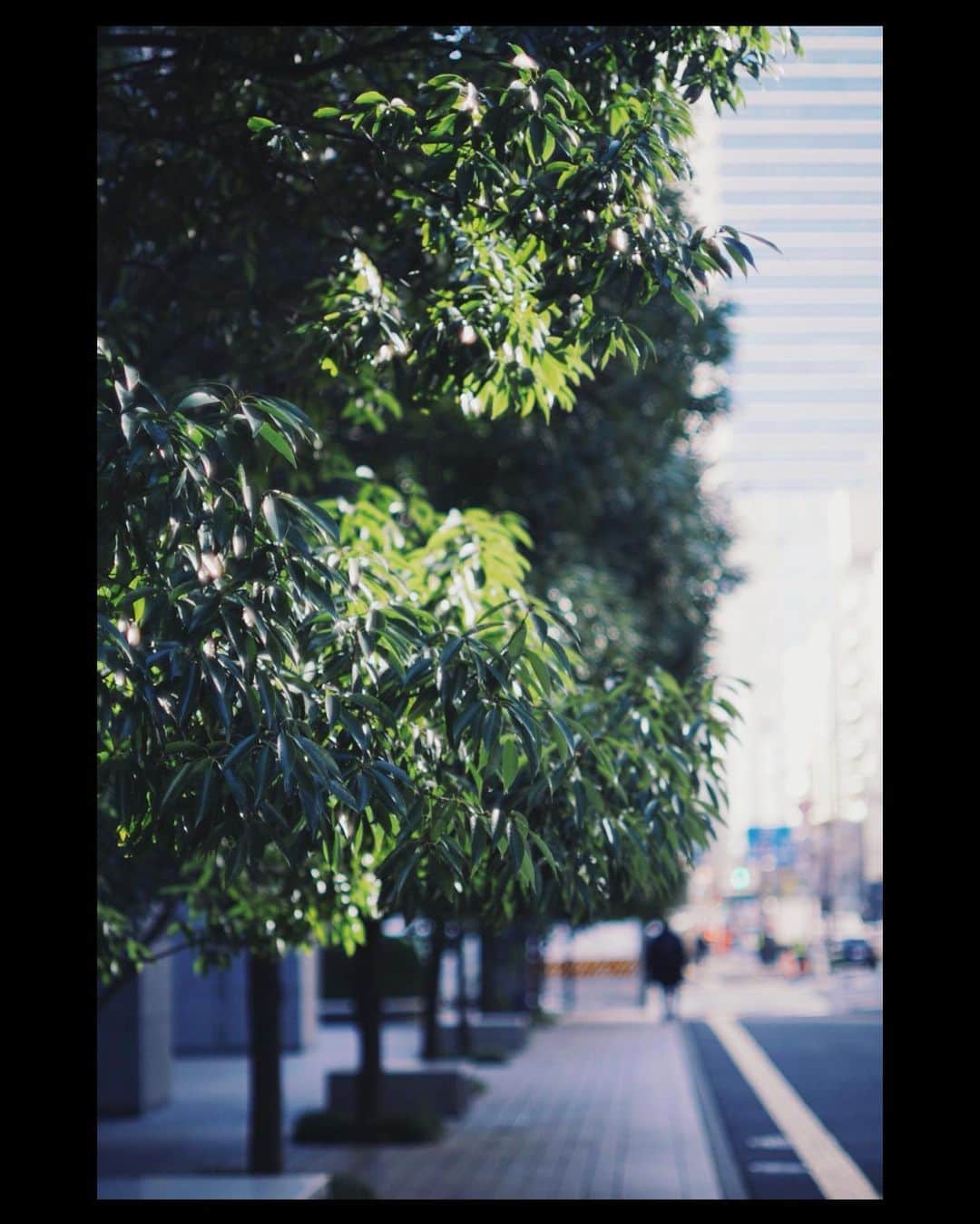 丸山智己さんのインスタグラム写真 - (丸山智己Instagram)「次の現場のためにPCR検査を受けに。  この季節の晴れた日に都内を歩くのが好きなのは、上京した季節だからなんとなく空気を思い出してセンチメンタルな気分になるからでしょうか。  #pcr検査 #街歩きスナップ #センチメンタルジャーニー #散歩写真」1月13日 21時45分 - tomomi.maruyama0327