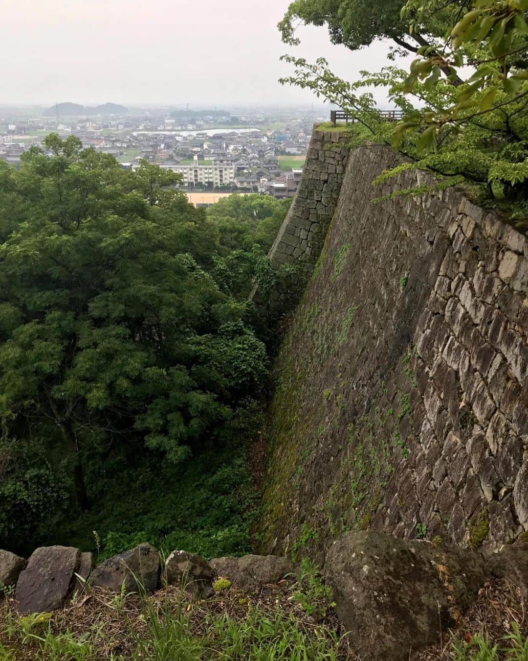 きゃっするひとみーさんのインスタグラム写真 - (きゃっするひとみーInstagram)「お城を振り返りポストいれていきます！🥺✨2020年はほぼ大阪城しか行かれへんかったからなぁ。。 . まずは、好きなお城は？！と聞かれて今のトップスリーに入る丸亀城！！！！その理由は。。石垣フェチにはたまらん、高い石垣！！！🥺✨✨✨ . もうずっーーーっと見上げられるくらい石の壁、最高にかっこよかった。  そして丸亀城は、山の上にあるので少し離れたところからでも存在感がある。現存天守で、大阪城の櫓くらいの大きさの天守やけど、その小ささを感じさせない。 . この石垣には少し面白い？悲しい？伝説がありまして。 . 丸亀城の、石垣を完成させた功労者【羽坂重三郎】。殿様は、「さすが重三の築いた石垣だけあって完璧だ。これでは空飛ぶ鳥以外にこの城壁を乗り越えるものはあるまい」とご満悦。 . ここで重三郎は調子に乗っちゃって。「私に尺余りの鉄棒をくだされば、容易に登ることができます。」と言ってすいすいと石垣を登ってしまいました😅 . 殿様は「どんだけー😂」と、生かしてたら敵にバレた時に恐ろしいことになると考えて、城内の井戸の底を重三郎に探らせて、その隙にでっかい石を投じて殺してしまったという。。この井戸も丸亀城内にあります。。 . 今年もお城愛、石垣愛100点でいきます！🥺✨✨ . 丸亀城最高❤️  #丸亀城 #城  #石垣ファンクラブ  #石垣フェチ #お城好き」1月13日 22時11分 - takaxjumppp
