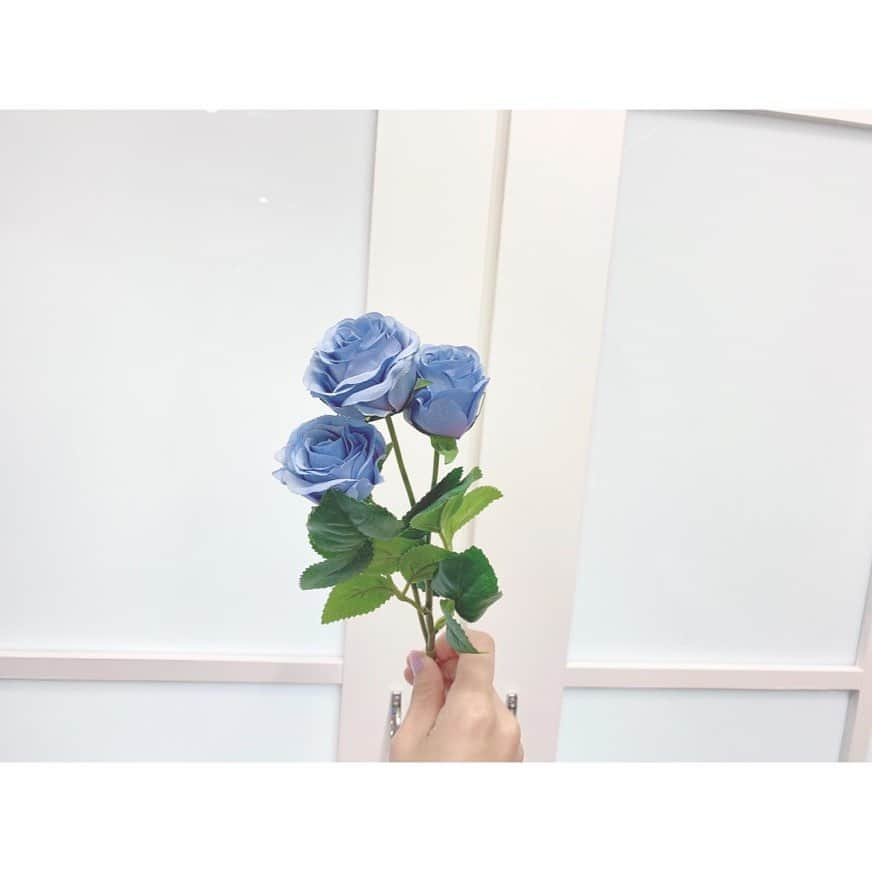 春名真依さんのインスタグラム写真 - (春名真依Instagram)「＊ 生写真で使ったお花の花言葉💭 青のバラ ｢夢は叶う｣ 紫のアネモネ 「あなたを信じて待つ」  赤のバラ「愛情」「美」 ピンクのラナンキュラス ｢飾らない美しさ｣ かすみ草 「無邪気」、「清らかな心」、「感謝」 一つ一つ調べて選んだんですっ 花言葉の中で青いバラが1番好きなんですよね😌 不可能だった"青色のバラ"が、技術によって誕生したことから来たこの花言葉。 なんて素敵な花言葉なんだ〜って 花言葉に特別詳しい訳では無いのですが、調べるのが好きなんです🥰 #まいんすたぐらむ #たこやきレインボー #たこ虹 #春名真依 #まいまい #花言葉」1月13日 22時57分 - harunamai_official