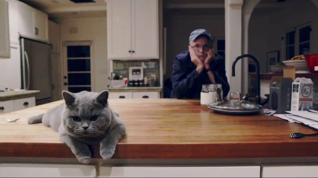 のインスタグラム：「You can watch Huey, Fran’s British Blue’s, debut performance in the video for Nina’s song now live on our @youtube channel.  It took a long time!  Huey was very patient though and grateful for all the treats. To make him sing Fran worked with Hao Li and his company Pinscreen. Hao is one of the most renowned deepfake artists in the world. It's actually the first time a deepfake has been made between a human and an animal.  Enjoy and share! Fran, Dougie, Andy & Neil x Link in bio to watch!  #cats #catmeme #britishblue #britishbluecat #deepfake」