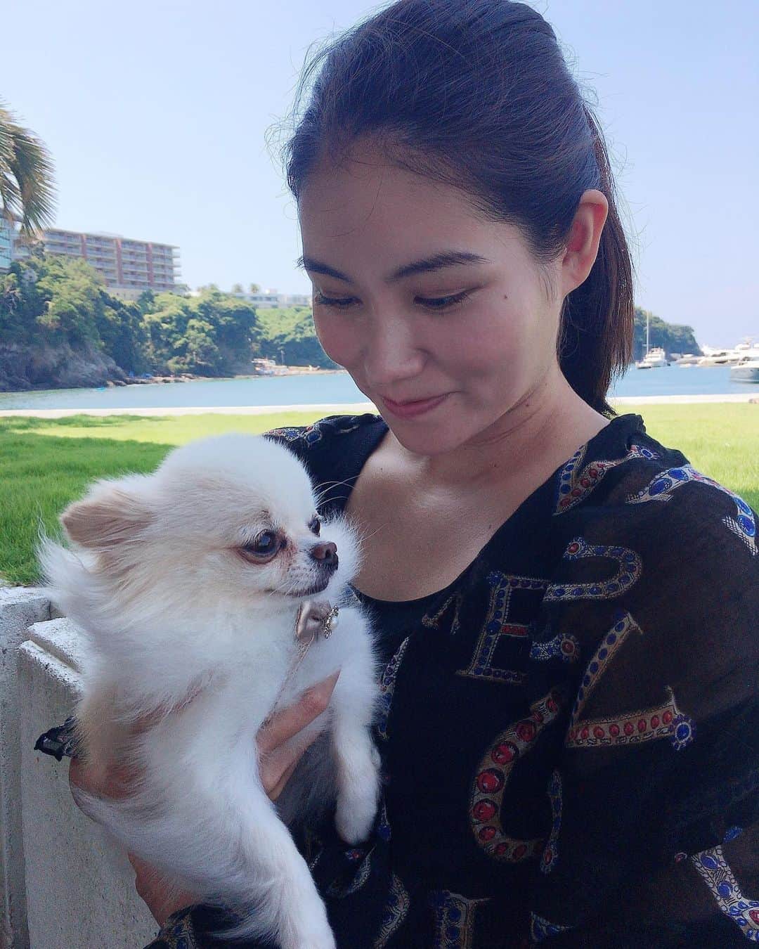 大塚莉奈のインスタグラム：「きゅんっ  #犬 #dog #dogstagram #instagood」