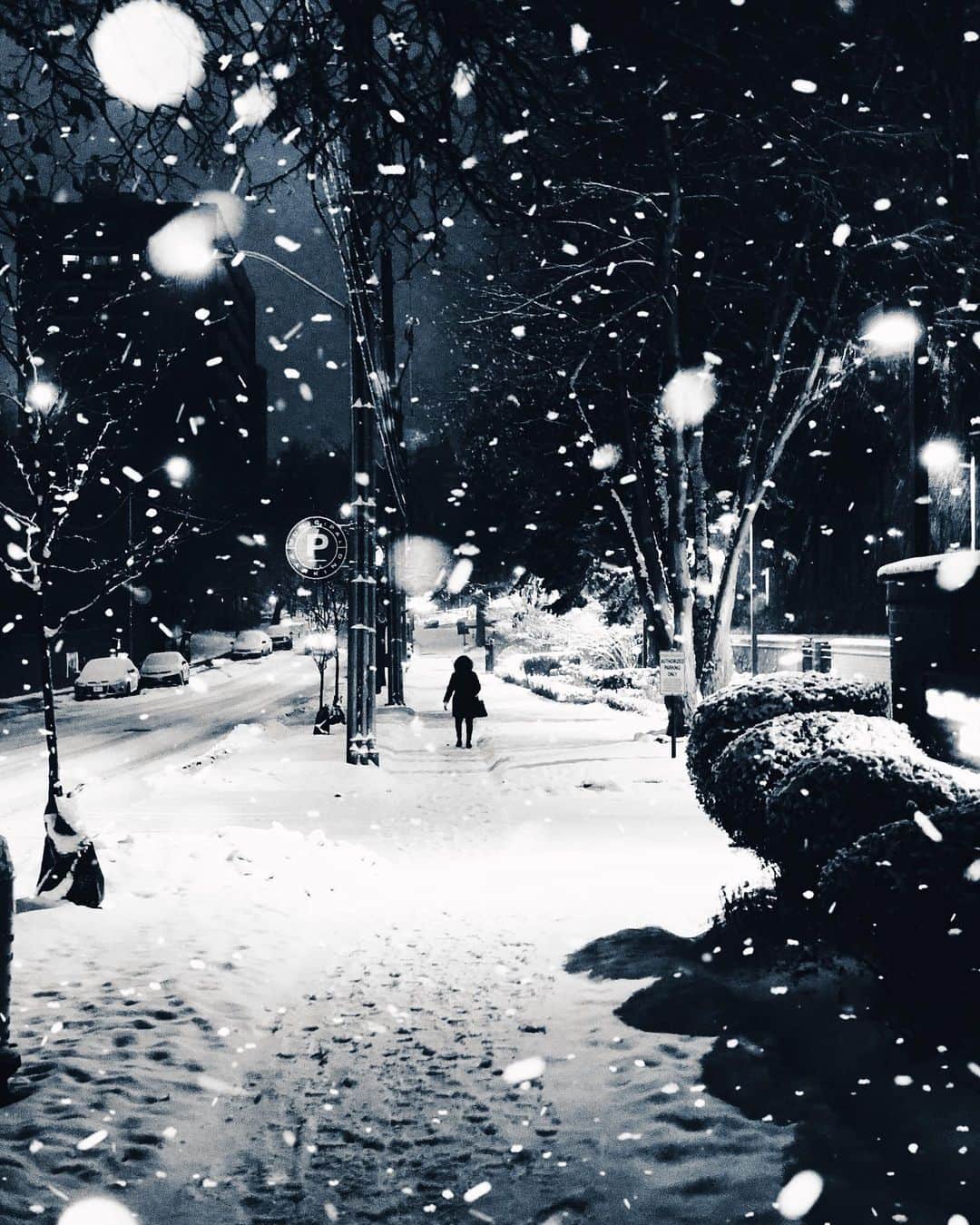 kaelのインスタグラム：「I would be happy just to hold the hands I love On this winter’s night with you」