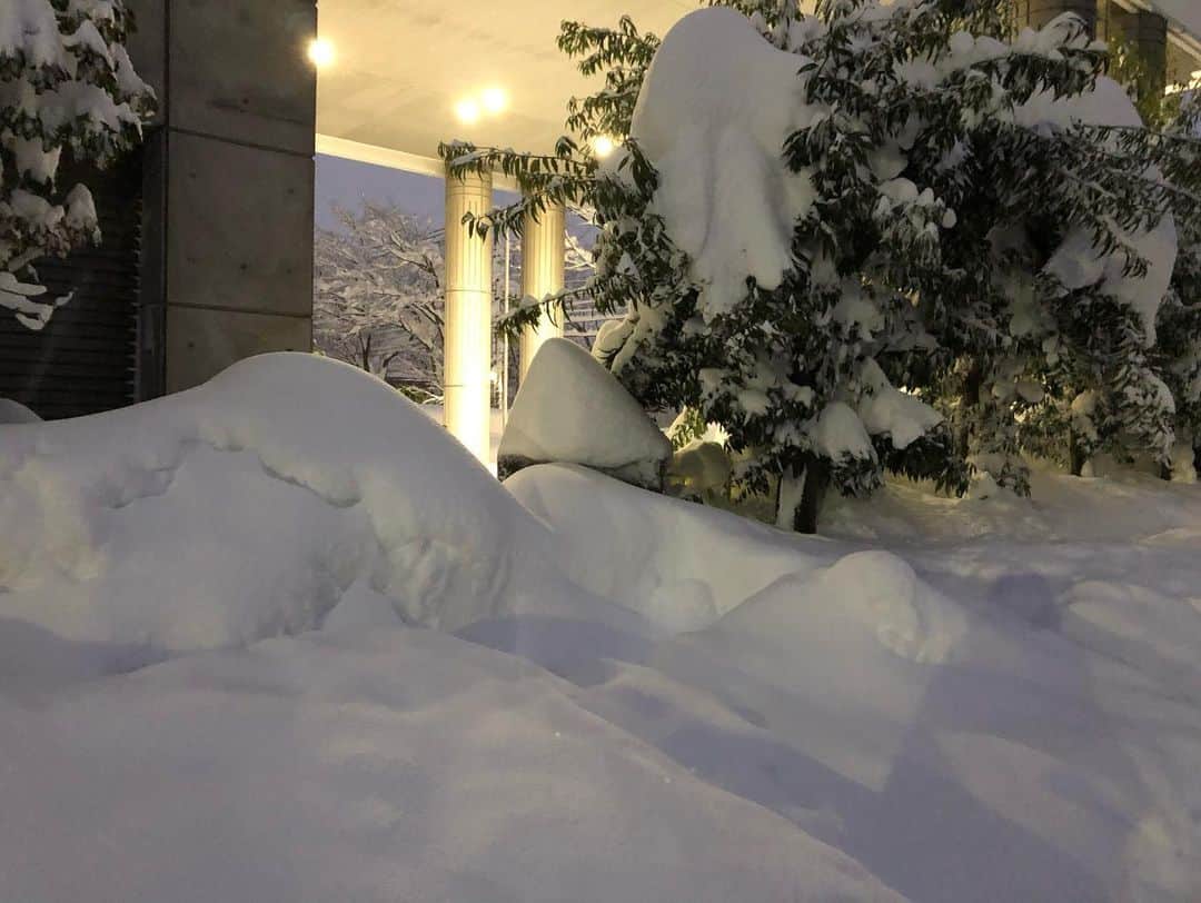 南條早紀さんのインスタグラム写真 - (南條早紀Instagram)「2021年。豪雪。 . 成人の日を含む３連休。 富山県は大雪に見舞われました。 . 35年ぶりと言われる積雪量。 吹雪のなか道路状況の悪い道を 車で通勤するのは、大袈裟でもなく 命の危機を感じるほどのものでした。 . 富山市でも積雪は120センチを越え、 土曜日の夕方には私の胸くらい。 （1枚目） . 歩道もてんこ盛りの雪。（2枚目） . 3枚目は、 土曜の朝、会社着くなり雪かきをして 生放送を終え、帰る頃（17時ごろ）には すっぽりと埋まる社有車の様子。 . 4枚目。よく見ると茶色く見えるのは 新雪に埋もれて気づかなかった側溝に落ちて 抜け出せなくて、長靴のみを取り残して 立ち去った後。 会社の駐車場近くで起こったことなので、 守衛さんが長靴救出してくれて ことなきを得たけれど、 新雪は動くたび足を取られて本当に怖かった…。 . 1枚飛ばして 最後の動画は、今日の日中のもの。 いまだに富山市内は除雪が進んでおらず、 ガタガタと危険な道も多数。。。 早く安全に走行できる道になりますように。 . . . 富山で生まれ育った人ですら、 こんな大雪経験したことない、と 口を揃えていう大雪。 千葉から来た私にとっても、 もちろんここまでの雪ははじめて。 . 富山の自然の美しさ、素晴らしさと 隣り合わせに、自然の脅威を感じたこの数日間…。 . 早く日常が戻りますように。 それと共に、雪国で暮らす覚悟とか 準備をちゃんとしておかなければどう思いました。 . …と、大変な思いはしてますが、 凸凹の雪道にハマってしまった車を みんなで助け合ったり、 スコップの貸し借りをしたり、 近隣でついでに雪かきをしあったり… 人の優しさに触れる機会も多くて、 気付かされることも多数。 . 雪に対してもうやだ！と思うことはあっても この大変な環境・状況を 皆で乗り越え合おうとする富山県民の姿は尊敬で、 富山県って素敵だなと変わらず思っています。 雪国の人、本当に精神的に強いなと 感じることが多くあり、見習いたいです。 . . そして1枚飛ばした動画の前の写真は、かまくらを作りたくて挑戦したあと🤣 人が入れるサイズにするのは 到底無理で、雪だるまサイズ⛄️ 1人では完成に至らなくて断念しちゃった🤣 . 雪国の暮らしと真剣に向き合った2021年1月。 . 被害が拡大しないことを祈るとともに、 雪を楽しむ術を考えたい南條でした❄️ . 少しでも早く降り積もった雪が溶けて、 被害なく、日常に戻れますように。 . . 雪かきに早起き、雪道の移動などなど 気を病むことが多いので、 みなさんご自愛くださいね。 共に乗り切りましょう！！ . . #富山県 #富山市 #富山 #北陸 #豪雪 #豪雪地帯  #雪 #雪景色 #積雪 #大雪 #雪かき #雪下ろし #雪だるま  #かまくら #除雪 #除雪作業 #お疲れさま #筋肉痛 #体力 #疲れた #路面 #除雪作業 #よろしくお願いします #富山大好き #自然と暮らす #がんばる #富山テレビ #BBT #アナウンサー #南條早紀 #なんじょうのにちじょう」1月13日 23時33分 - nanjo_saki
