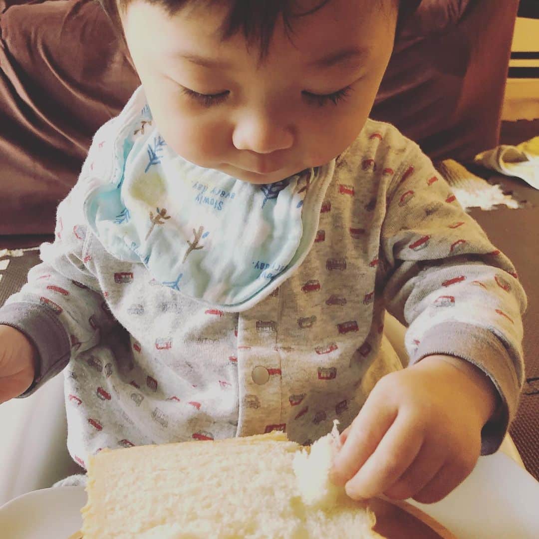 世手子さんのインスタグラム写真 - (世手子Instagram)「My son likes bread🍞⭐️ He seems to enjoy eating himself🥯🥖 I ate it with boiled beans🥪✨ @shokupan_sakimoto  #嵜本 のパンでお昼ごはん(・∀・) #レコーディング 作業がいつまで経ってもおわらないー！ 育児しながら修行してます(*^_^*) 育児時間は #高級食パン嵜本 で癒されてる（＾ν＾） #sakimoto の #極美ナチュラル食パン と #カネ吉 #金時豆 で休憩ランチ(≧∀≦) 美味しい(*´ω`*) #極生ミルクバター食パン はそのままいただきました(*'▽'*) #寿司太郎 は自分でパンをちぎって食べるのが楽しいみたい(*^▽^*) お子様カレーあんま好きじゃなかったけど #嵜本食パン だとパクパク食べておりました(*´꒳`*) 明日もがんばる！！！ #カネ吉オンライン #お豆 #昔ながらの製法 #monipla #kanekichionline_fan  @woodstyle.sapporo  #うっどすたいる #ウッドスタイル #woodstyle  #オーダーメイド家具 #オーダー家具」1月13日 23時41分 - rojide