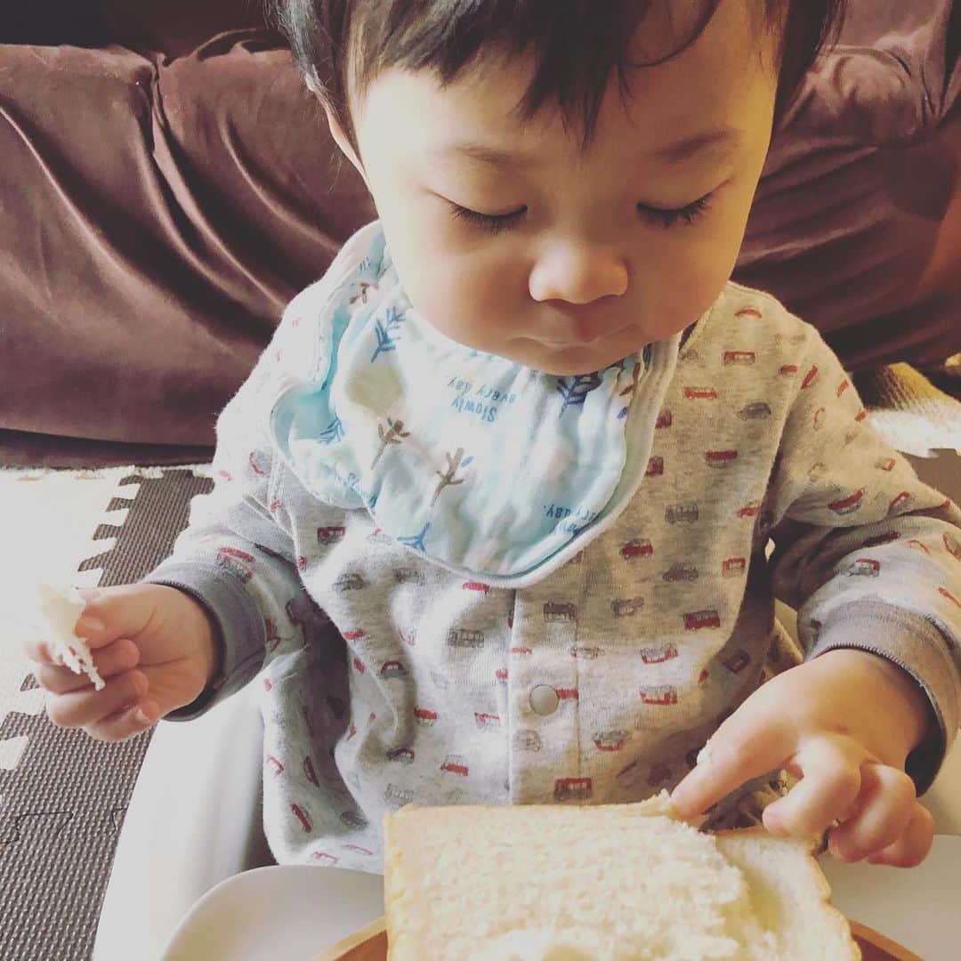 世手子さんのインスタグラム写真 - (世手子Instagram)「My son likes bread🍞⭐️ He seems to enjoy eating himself🥯🥖 I ate it with boiled beans🥪✨ @shokupan_sakimoto  #嵜本 のパンでお昼ごはん(・∀・) #レコーディング 作業がいつまで経ってもおわらないー！ 育児しながら修行してます(*^_^*) 育児時間は #高級食パン嵜本 で癒されてる（＾ν＾） #sakimoto の #極美ナチュラル食パン と #カネ吉 #金時豆 で休憩ランチ(≧∀≦) 美味しい(*´ω`*) #極生ミルクバター食パン はそのままいただきました(*'▽'*) #寿司太郎 は自分でパンをちぎって食べるのが楽しいみたい(*^▽^*) お子様カレーあんま好きじゃなかったけど #嵜本食パン だとパクパク食べておりました(*´꒳`*) 明日もがんばる！！！ #カネ吉オンライン #お豆 #昔ながらの製法 #monipla #kanekichionline_fan  @woodstyle.sapporo  #うっどすたいる #ウッドスタイル #woodstyle  #オーダーメイド家具 #オーダー家具」1月13日 23時41分 - rojide