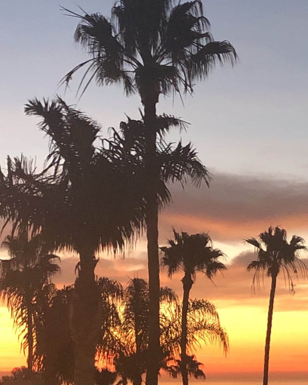 メアリー・マクドネルのインスタグラム：「Good Morning Los Angeles. Let today bring out the love we all have for this incredible city. If you’ve never worn a mask , do so now for no other reason but to help stabilize our hospitals and frontline. Our community needs each one of us to give up our opinions, our stands , and turn towards our communities . Find out what you can do today to help. You will change your friends, Your children’s , your neighbors lives. We can do this LA . We can. #WEARAMASK  #DoTheNextRightThing」