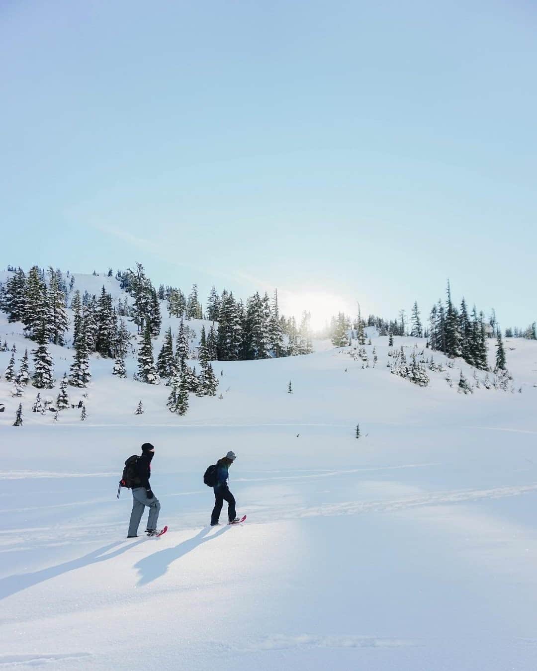 のインスタグラム：「New year, new trails. #RecreateResponsibly  Photo: @pnw.trailhead」