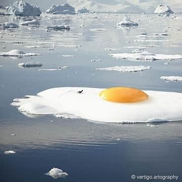 Eggs Conceptさんのインスタグラム写真 - (Eggs ConceptInstagram)「🍳❄ by 👉 Mohanad Shuraideh @vertigo.artography 👈  #MohanadShuraideh #vertigoartography #eggsconcept #egg #friedegg #arctic #winter」1月14日 0時48分 - eggsconcept