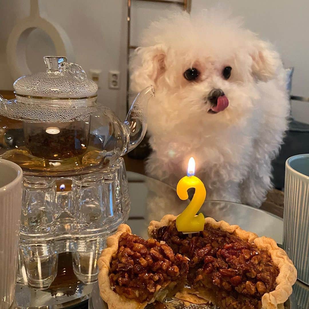 パーク・ファン・ヒーのインスタグラム：「🥳🎉」