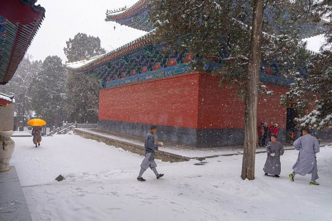 ナショナルジオグラフィックさんのインスタグラム写真 - (ナショナルジオグラフィックInstagram)「Photos by Michael Yamashita @yamashitaphoto / A rare snowfall at the Shaolin Temple in Dengfeng, Henan, birthplace of kung fu, does not stop the martial monks from practicing their art. The monks are here to study Buddhism and practice kung fu. There are some 60 martial arts academies to take care of the 50,000 kung fu enthusiasts who visit here from around the world to learn from the masters. This UNESCO World Heritage site is also the cradle of Chinese Zen (Chan) Buddhism. #shaolin #kungfu #shaolintemple #shaolinkungfu #dengfeng」1月14日 1時35分 - natgeo