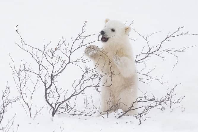 National Geographic Travelのインスタグラム