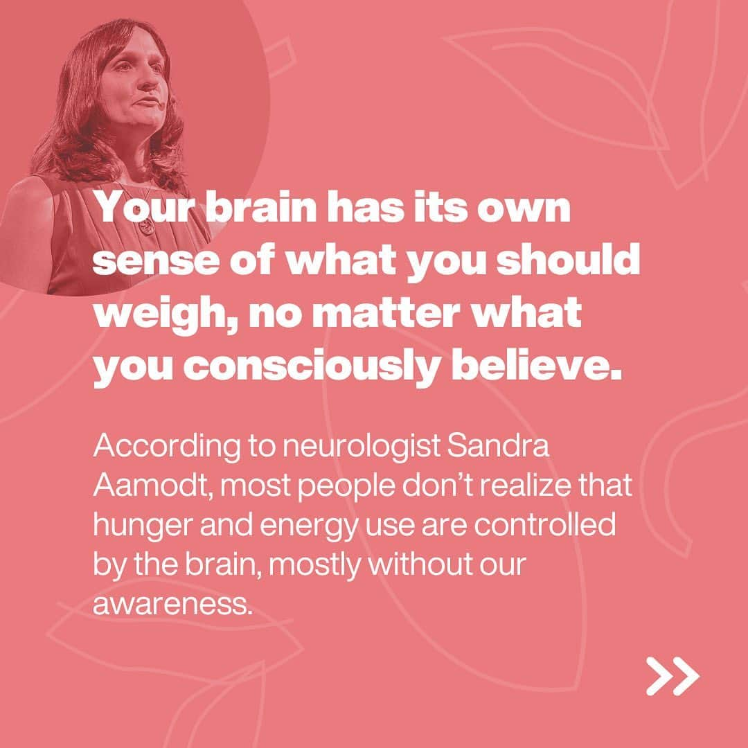 TED Talksさんのインスタグラム写真 - (TED TalksInstagram)「Started a diet in the new year? We hate to break it to you, but it probably won't work. Even if you do lose weight, you’re very likely to gain it back (and possibly a bit more.) And it isn’t even your fault! "Your brain has its own sense of what you should weigh, no matter what you consciously believe," says neuroscientist Sandra Aamodt. "You can use lifestyle choices to move your weight up and down within that range, but it's much, much harder to stay outside of it." Visit the link in our bio to learn the scientific reasons why diets typically do more harm than good — as well as Aamodt's tips for how to practice intuitive eating instead.」1月14日 1時54分 - ted