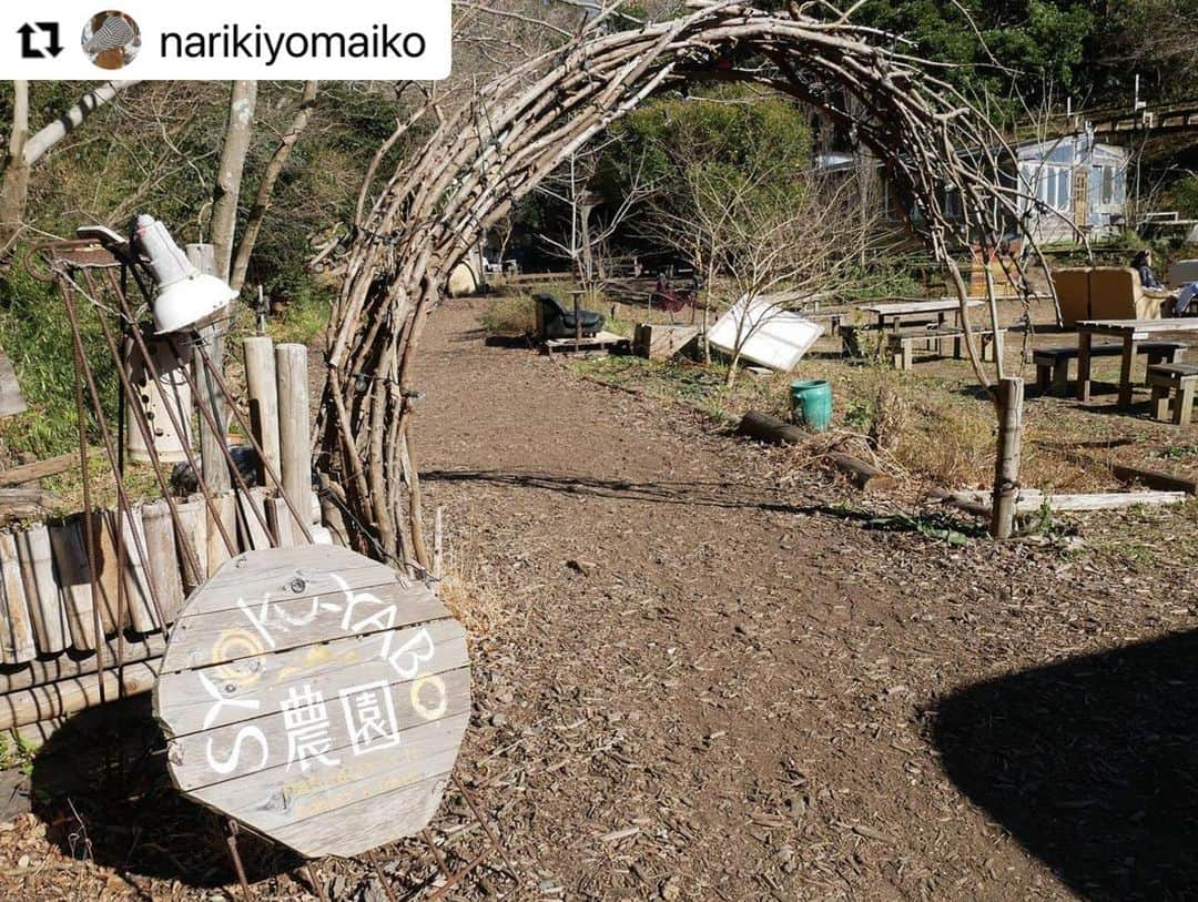 ヒデトレさんのインスタグラム写真 - (ヒデトレInstagram)「安心安全☺️⭕️🥰#Repost @narikiyomaiko with @make_repost ・・・ 🌎 @hidetore の後は、お隣りにある @syokuyabo でのんびりランチ。この日は、農園野菜定食🥬🍠 紫芋のマッシュや干し大根と挽肉のハーブ炒めなど、ドレッシングまですべて自家製。三種合わせ味噌の豚汁で身体の芯までぽっかぽか！美味しいってこういうことなんだなぁと実感できる食事です。」1月14日 1時58分 - hidetore