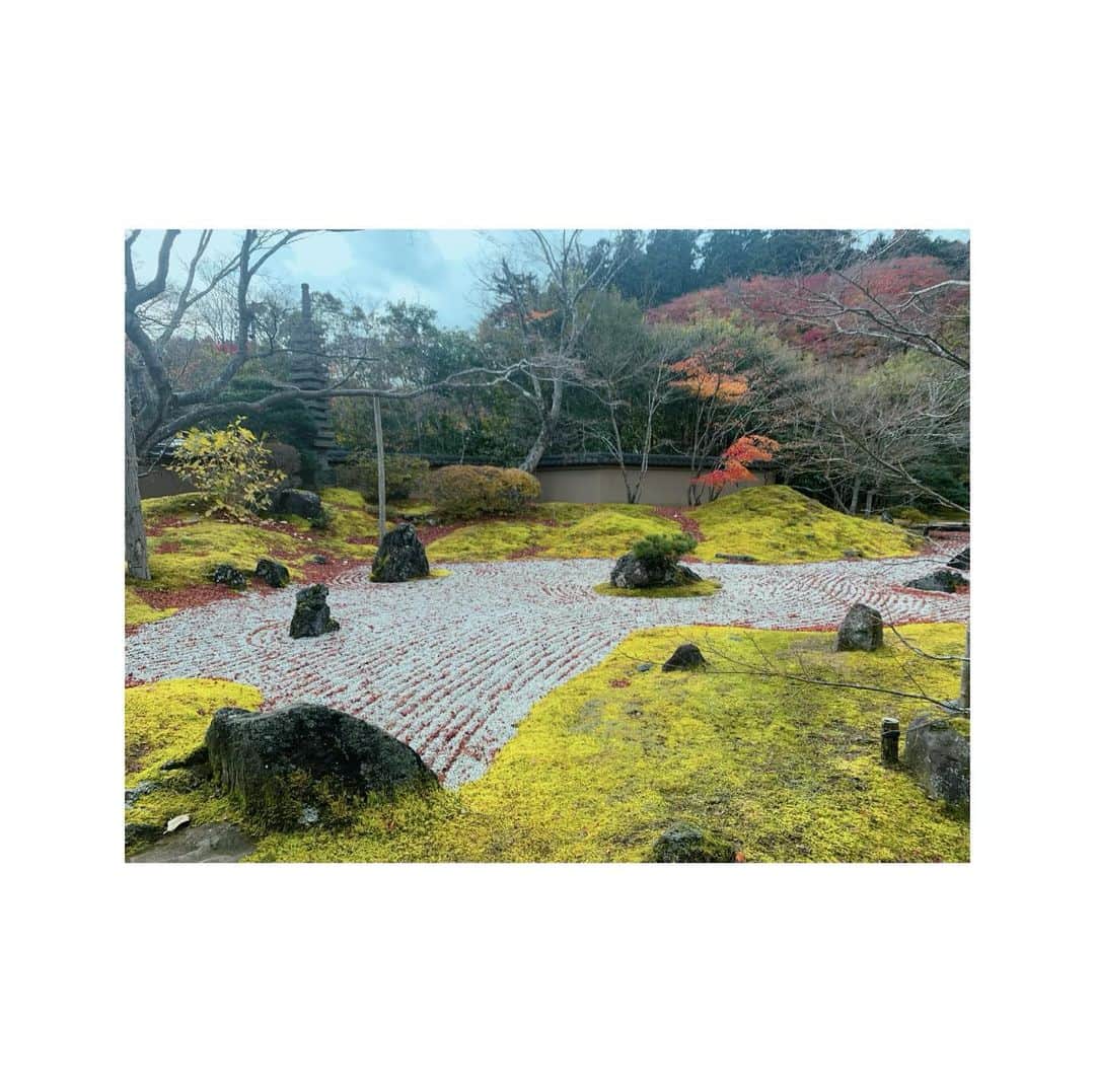福島ゆかさんのインスタグラム写真 - (福島ゆかInstagram)「：庭園  少し前に見た庭園。 癒されますぞ😇  #日本 #日本庭園 #庭園 #庭 #和風 #日本の心 #渋い #自然 #癒し #幸せ #緑 #美しい #美しい景色  #美しい風景」1月14日 2時02分 - yuka_fukushima_
