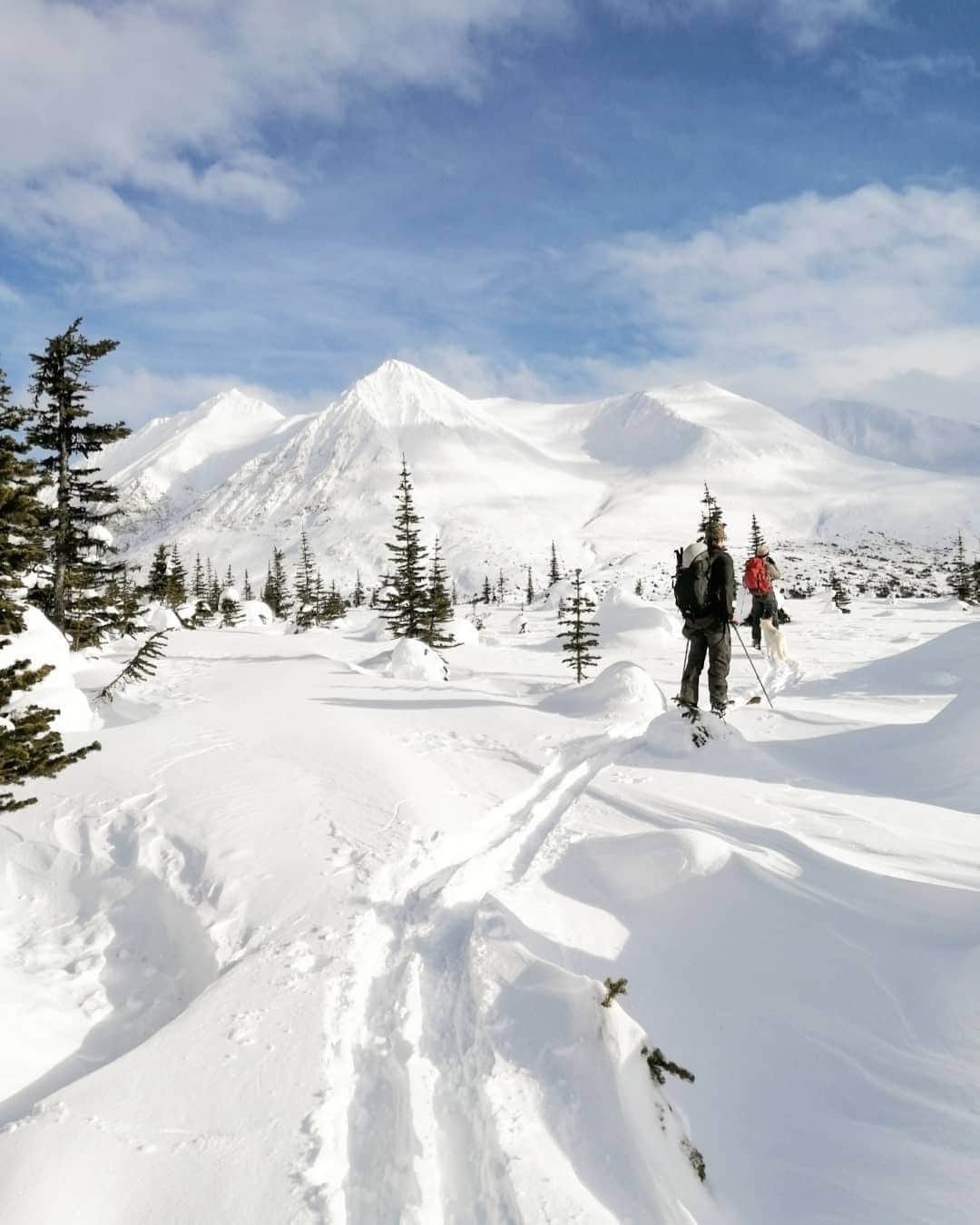 Explore Canadaのインスタグラム：「⁠ Take in the mountain views and fresh crisp air in this snowy paradise - the Yukon! What’s your favourite way to get out and enjoy nature in the winter? ⁠ ⁠ #ExploreCanada #CanadaNice⁠ ⁠ *Know before you go! Check the most up-to-date travel restrictions and border closures before planning your trip and if you're travelling in Canada, download the COVID Alert app to your mobile device.*⁠ ⁠ 📷: @amy_upnorth⁠ 📍: @travelyukon⁠ ⁠ #ExploreYukon⁠」
