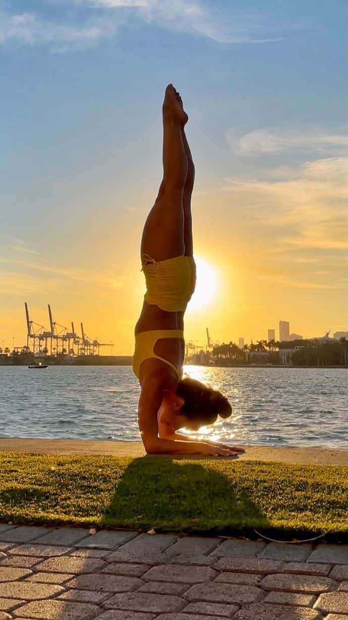 キノ・マクレガ―のインスタグラム：「You cannot snap your fingers and magically be stronger, at least not physically. You can however be stronger mentally and even spiritually in one instant, but the physical body needs time to build up muscle tissue. And in some ways building physical strength is a test of mental and emotional resolve. You will feel like quitting more times than you will be able to count. When you decide not to quit and keep going, that when you’re actually stronger.  _ It took me 2 years of failing to find the balance here. I wish I had the tool of Dolphin Pose when I was learning. If you practice this you will be stronger faster!  _ Practice with me on @omstarsofficial  Meditation Sunday 1 pm Wednesday Yoga Drills 1 pm _ Primary Series  Saturday Jan. 22 9 am @miamilifecenter  _ Video @ifilmyoga  Outfit @liquidoactive  #yoga #yogi #dolphin #pinchamayurasana  #30daysofcore Day 13 #omstars  🙏💕」