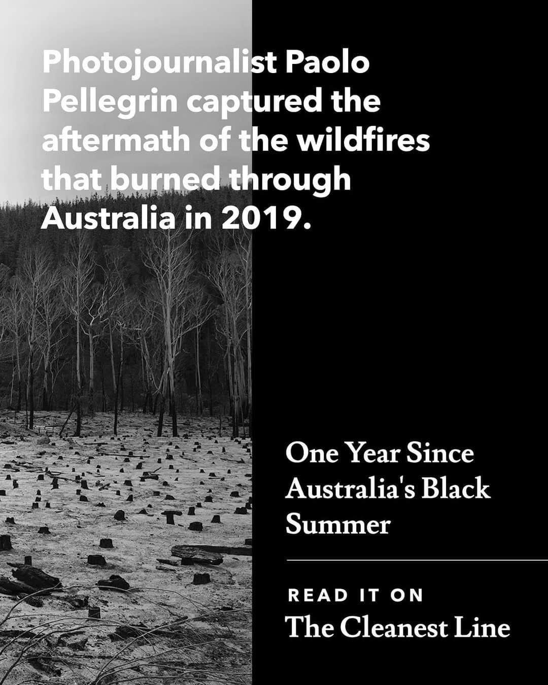 patagoniaさんのインスタグラム写真 - (patagoniaInstagram)「Australia’s Black Summer started the winter before. Fires broke out in August, unseasonably early, when the country was in the grip of drought. By the time summer rolled around, the country was dry as a chip and already burning. When record heat drifted in from the continent’s interior, those fires roared. For most, climate change had been an abstract concept, a looming threat that would manifest some way, one day, on an arbitrary timeline. But with the Black Summer it had arrived. Paolo Pellegrin's photos of the aftermath of the fires provide stark testament to this. Link in bio.⁠⠀ ⁠⠀ Photos: @paolopellegrin」1月14日 4時29分 - patagonia