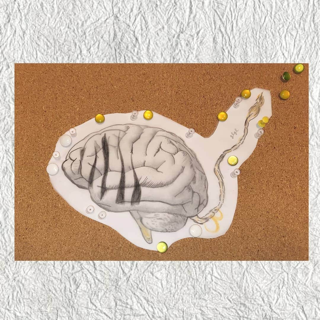 LISACHRISのインスタグラム：「白虎」