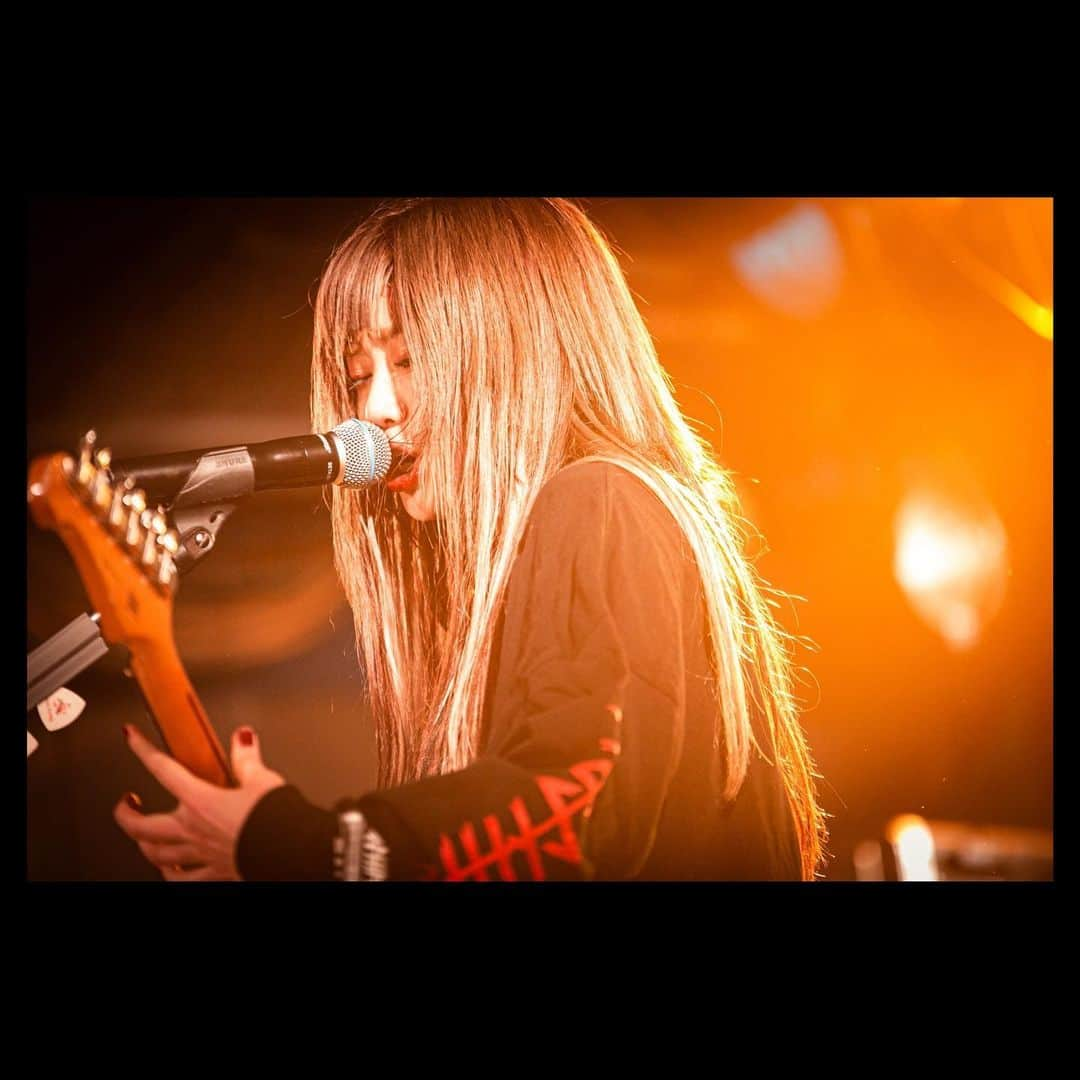 MOSHIMOさんのインスタグラム写真 - (MOSHIMOInstagram)「🎸2020.12.29 TOKYO🎸 THANK YOU!! BARI BARI ROCK 〜やっぱみんなとOUR NIGHT〜 Photo byかわどう @kawado_photo  #MOSHIMO」12月30日 19時47分 - moshimo_band